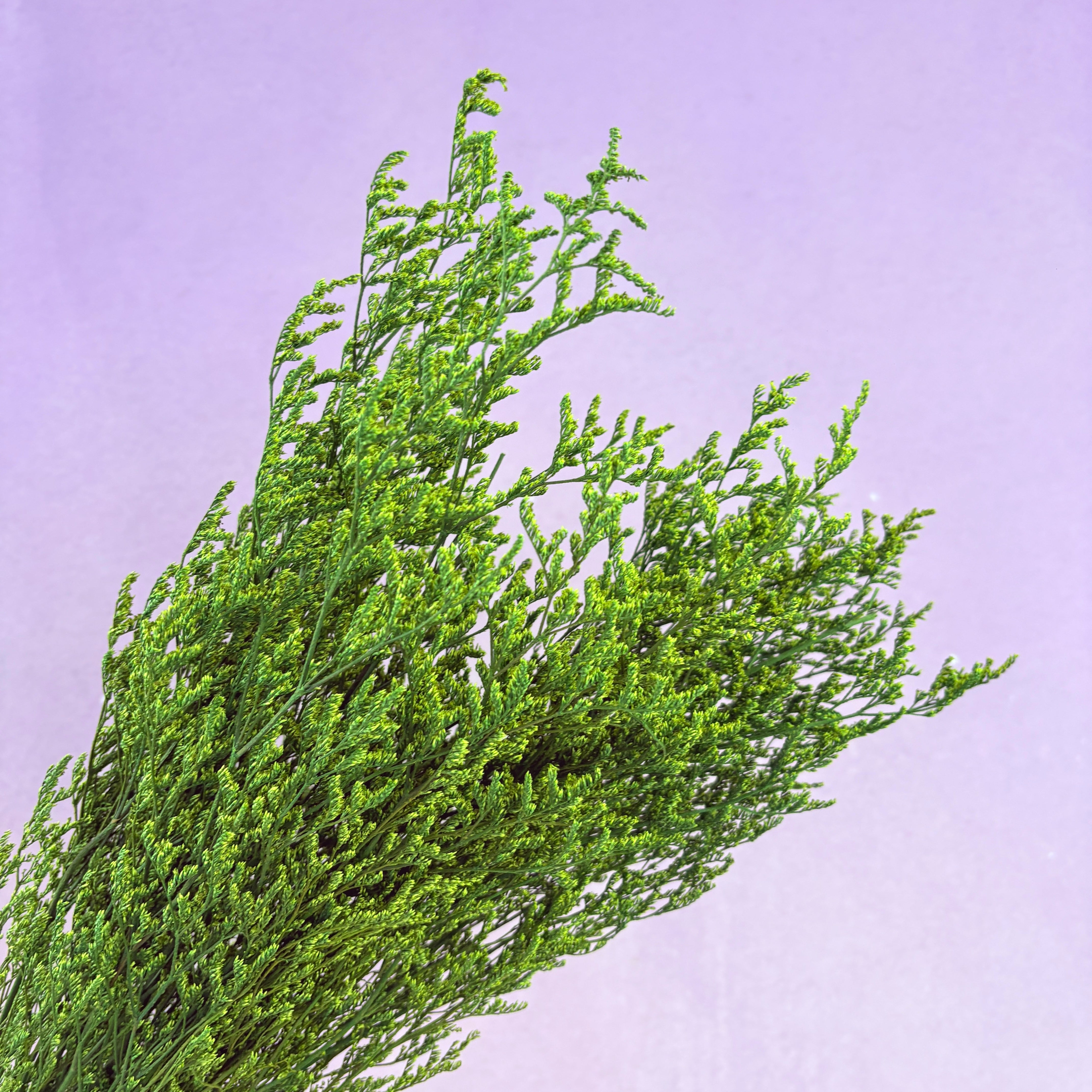 Misty Bright Green