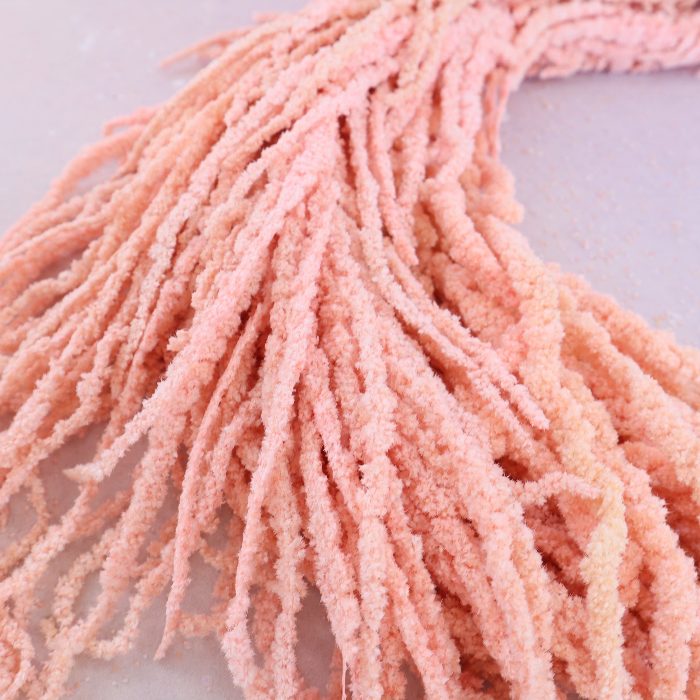 Amaranthus Light Pink