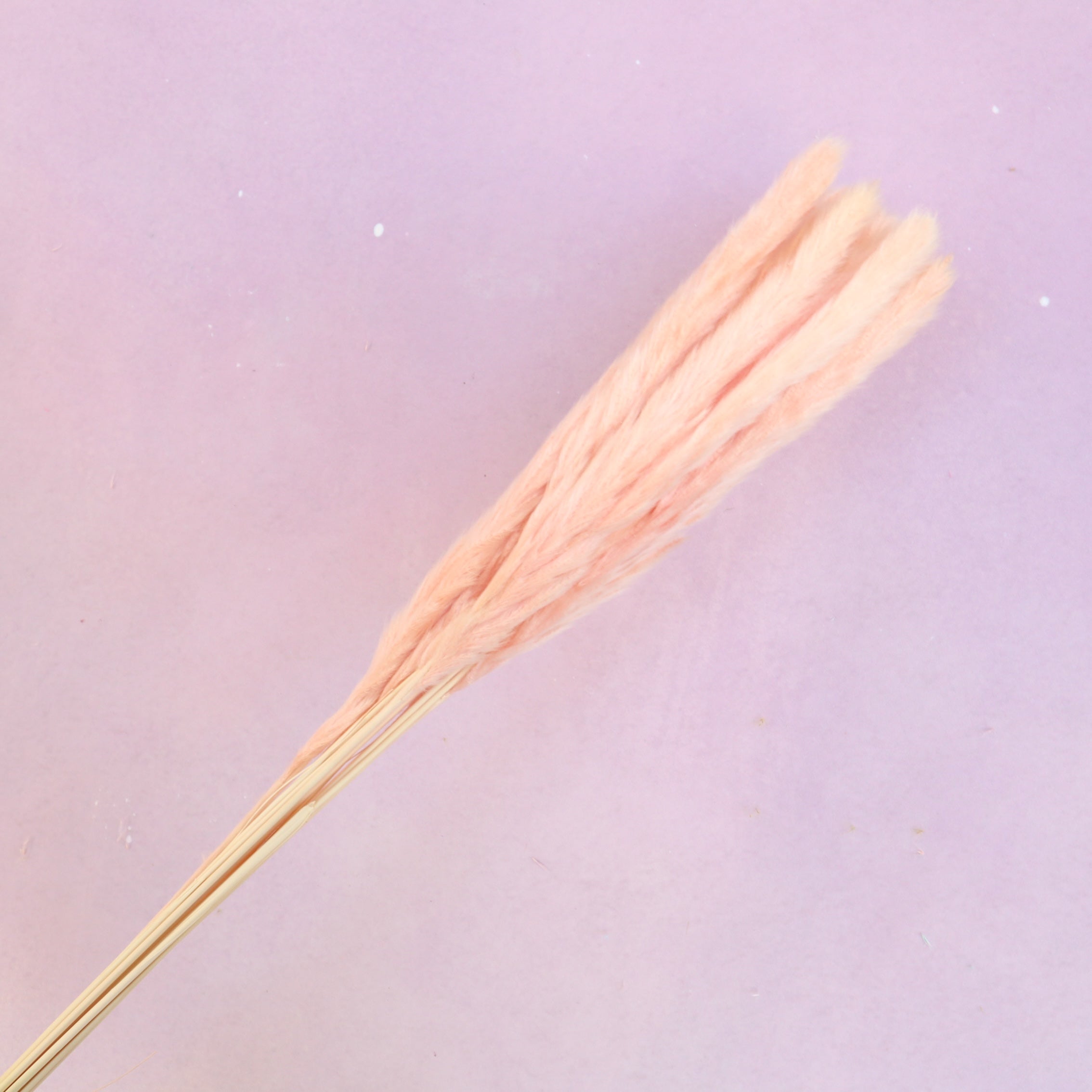 Fluffy Stick