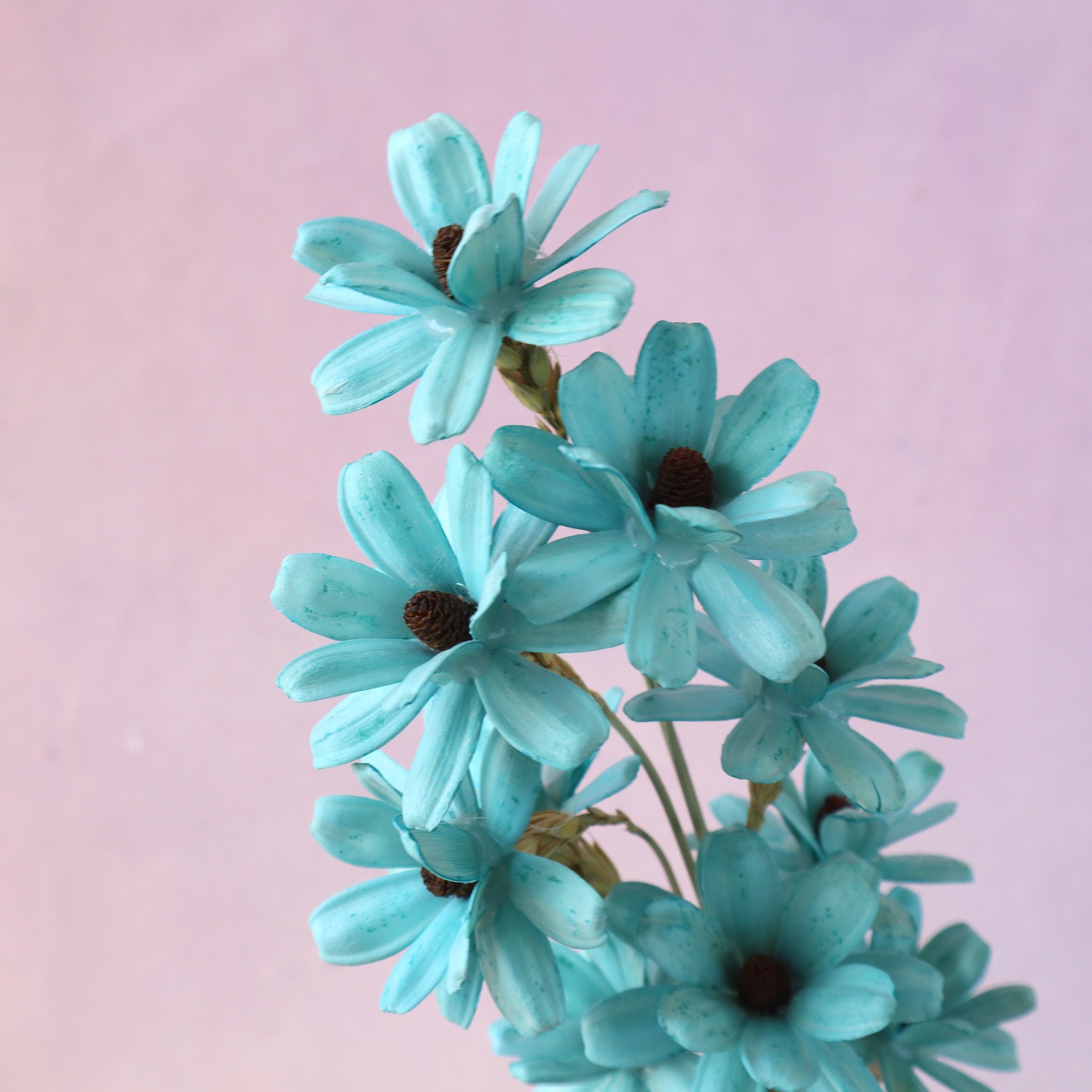 Handmade Daisy Aqua