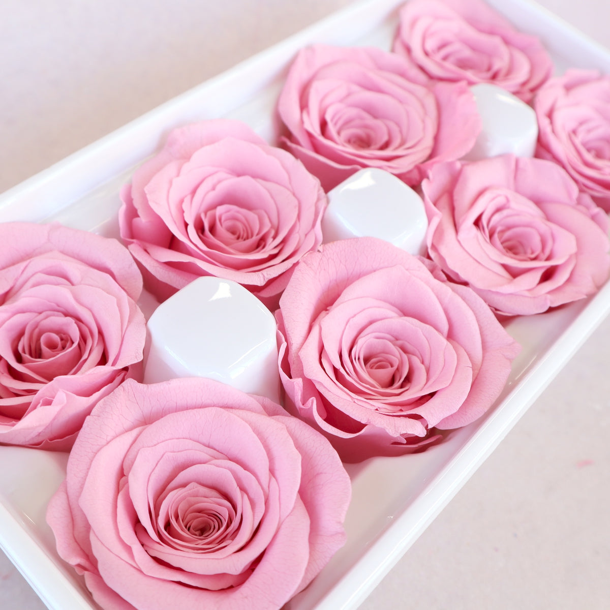 Rose Pink 8 heads