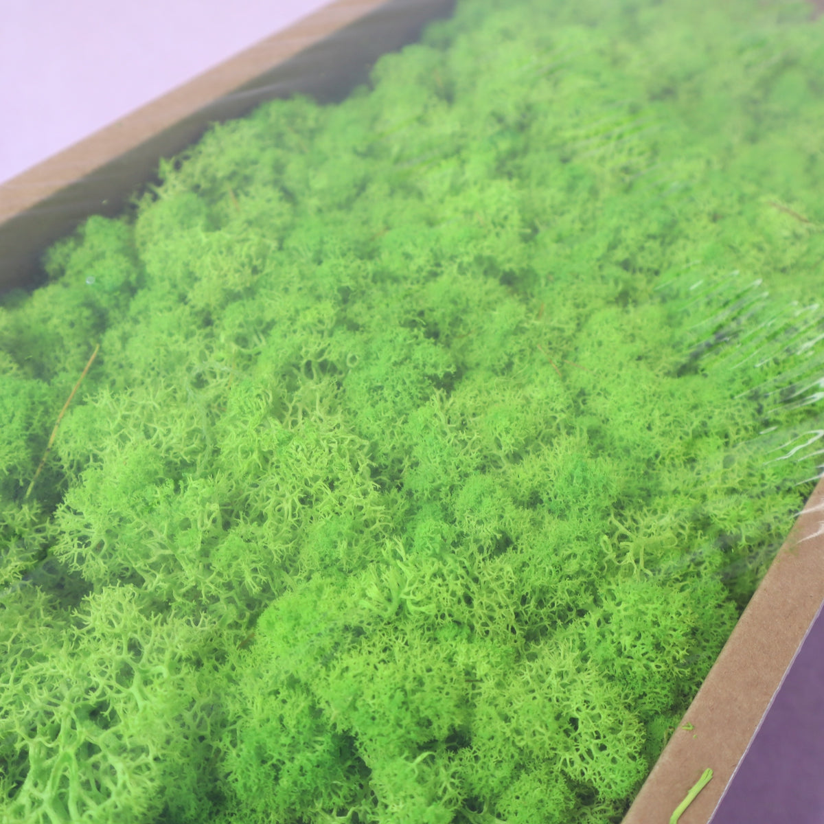 Moss Bright Green
