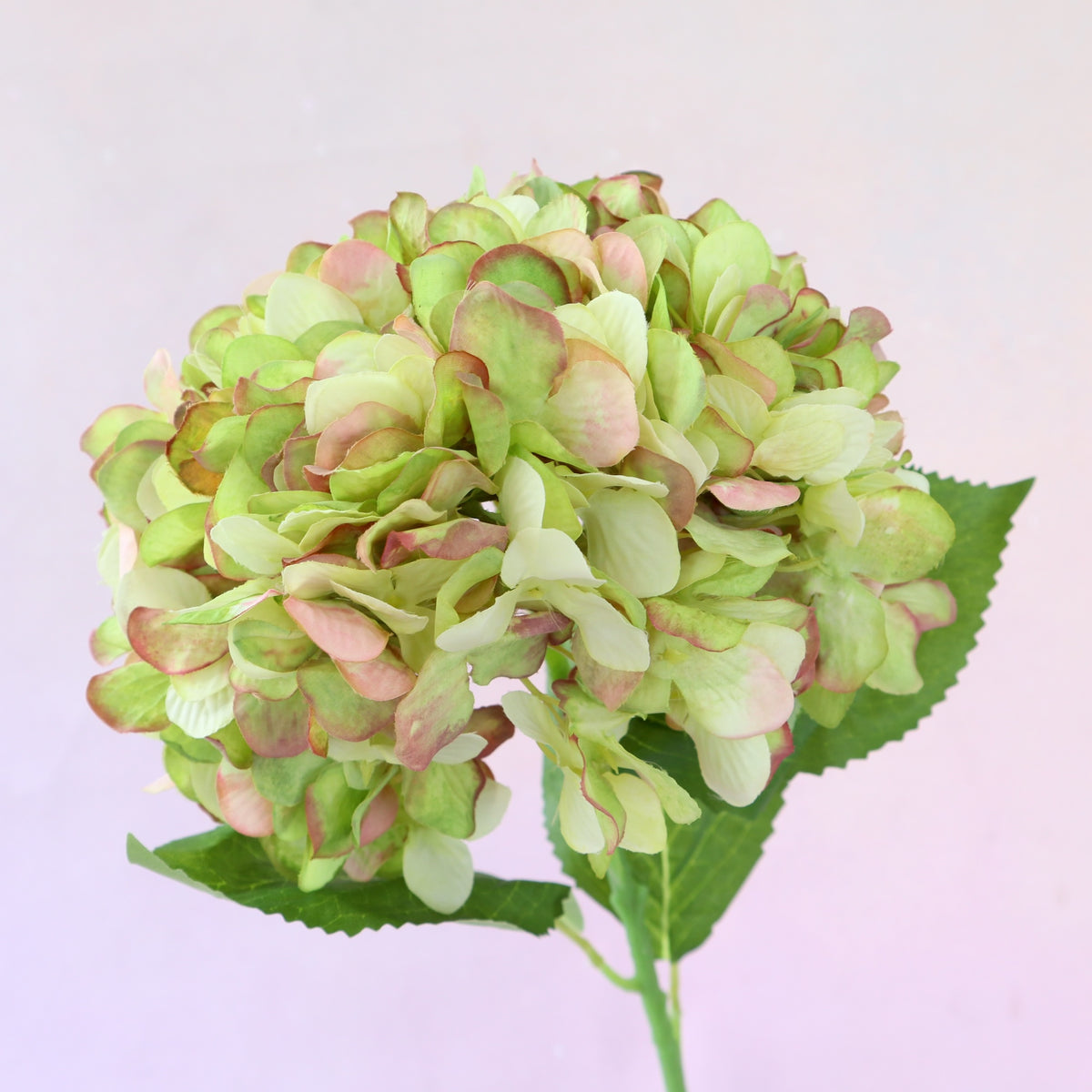 Silk Artificial Hydrangea Lime