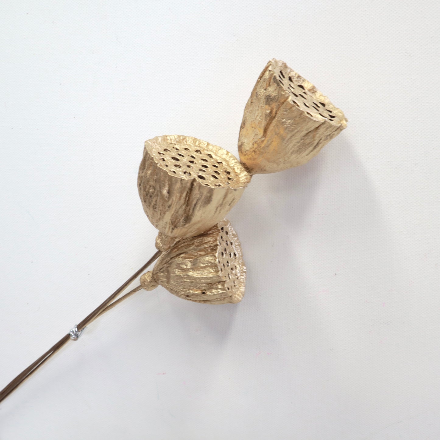 Lotus Pods Gold Medium