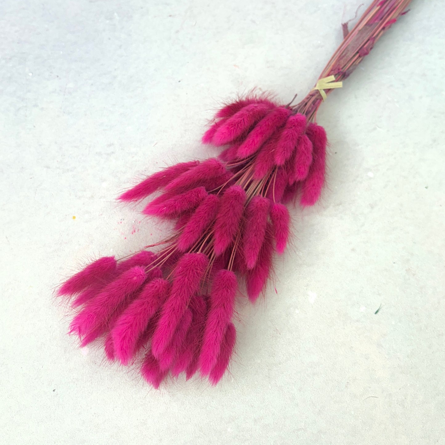 Bunny Tails Magenta