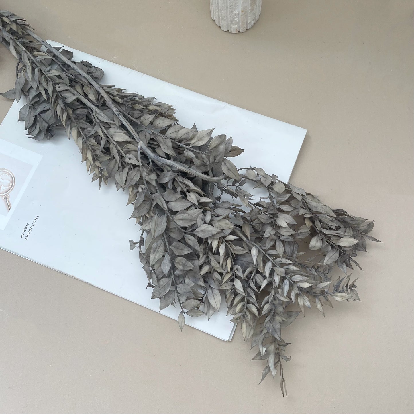 Italian Ruscus Vintage Grey
