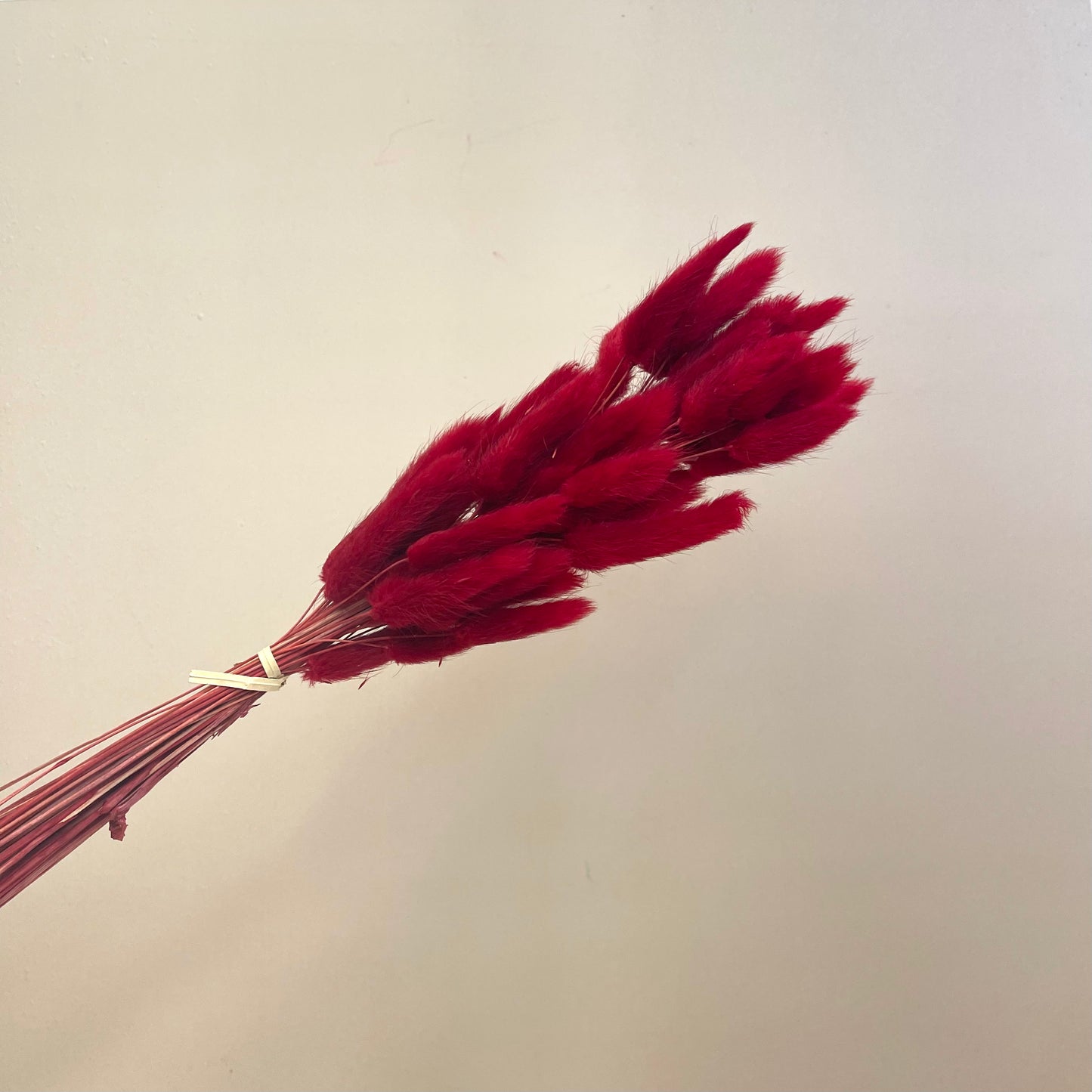 Bunny Tails Red