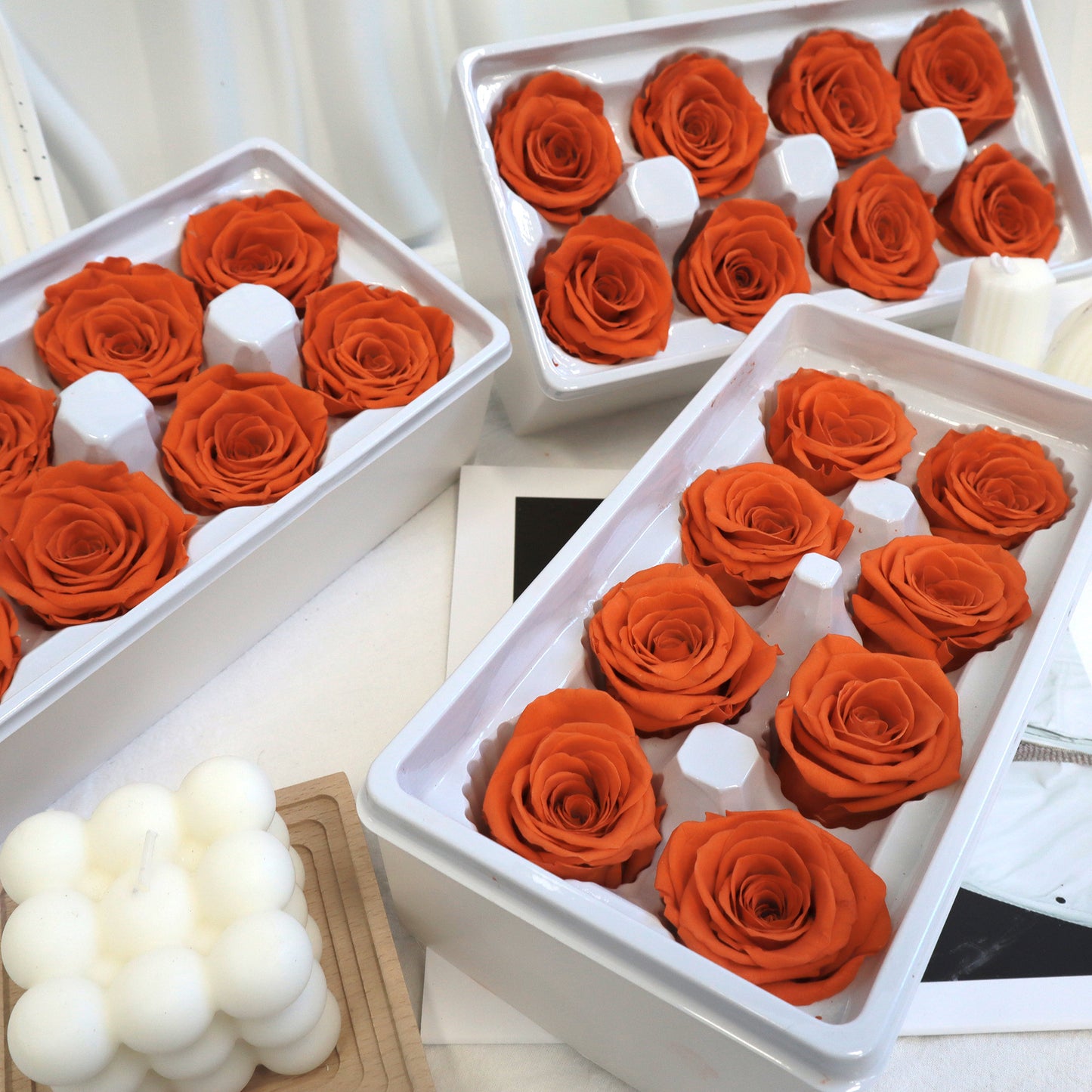 Rose Orange 8 heads