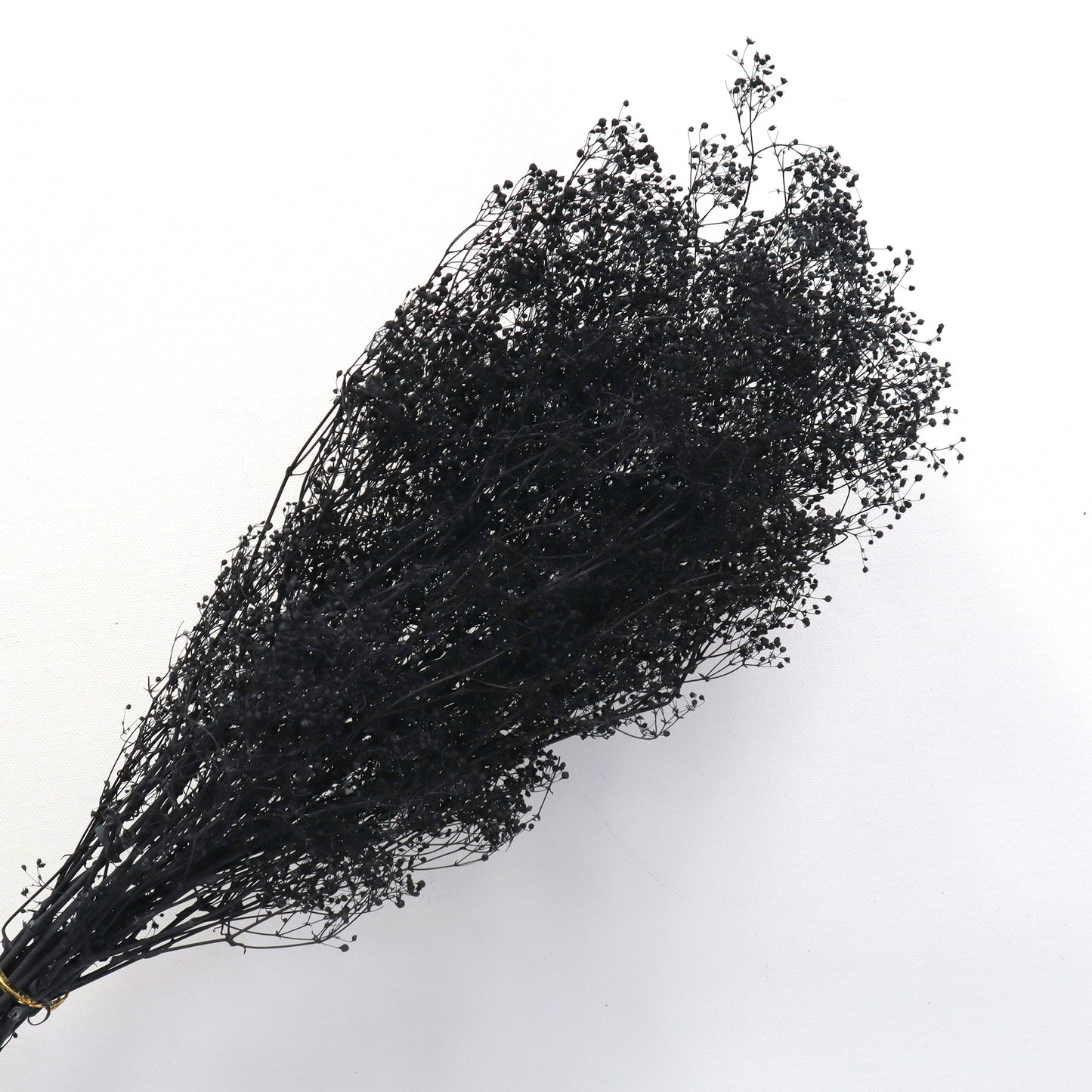 Snowy Baby's Breath Black