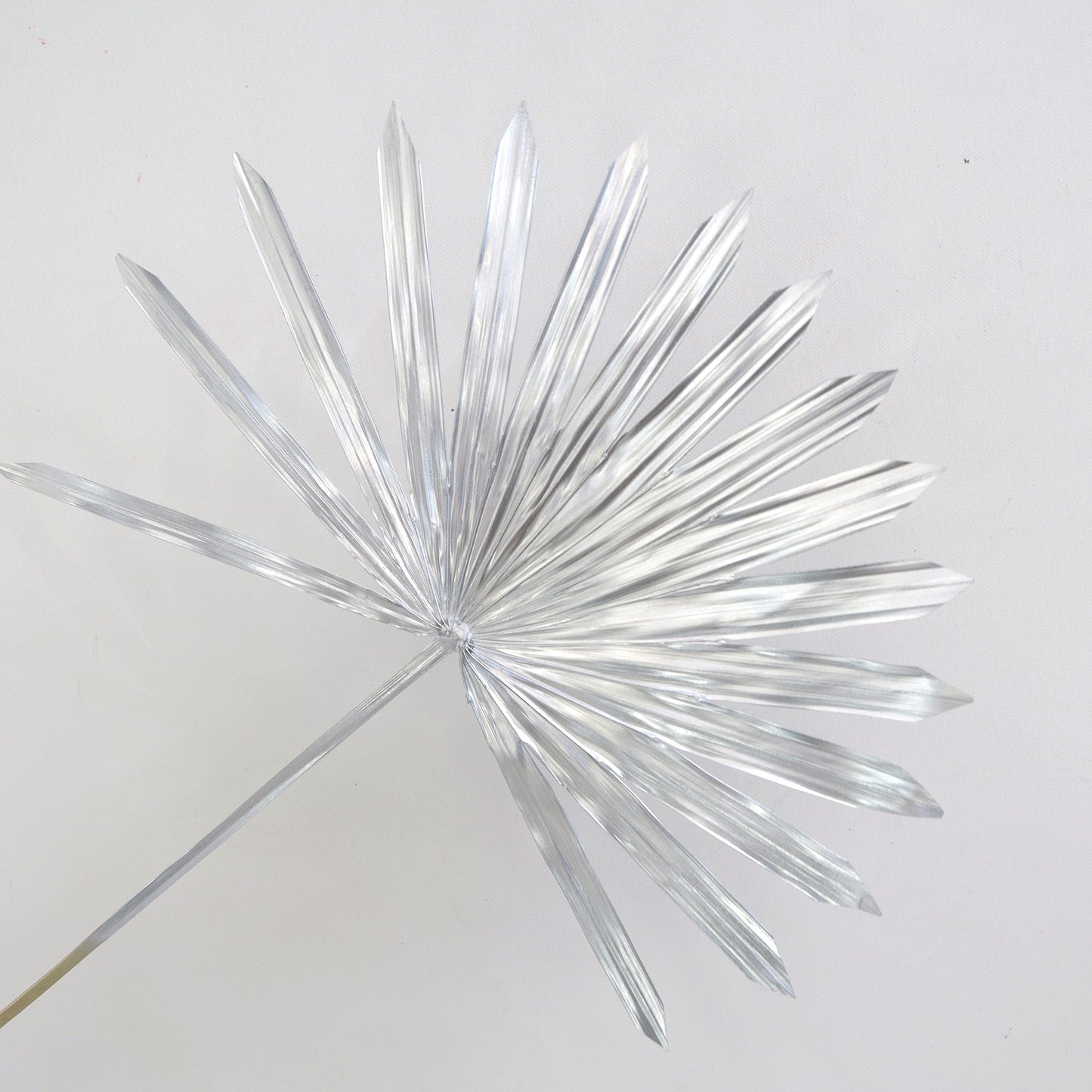 Sun Palm Silver