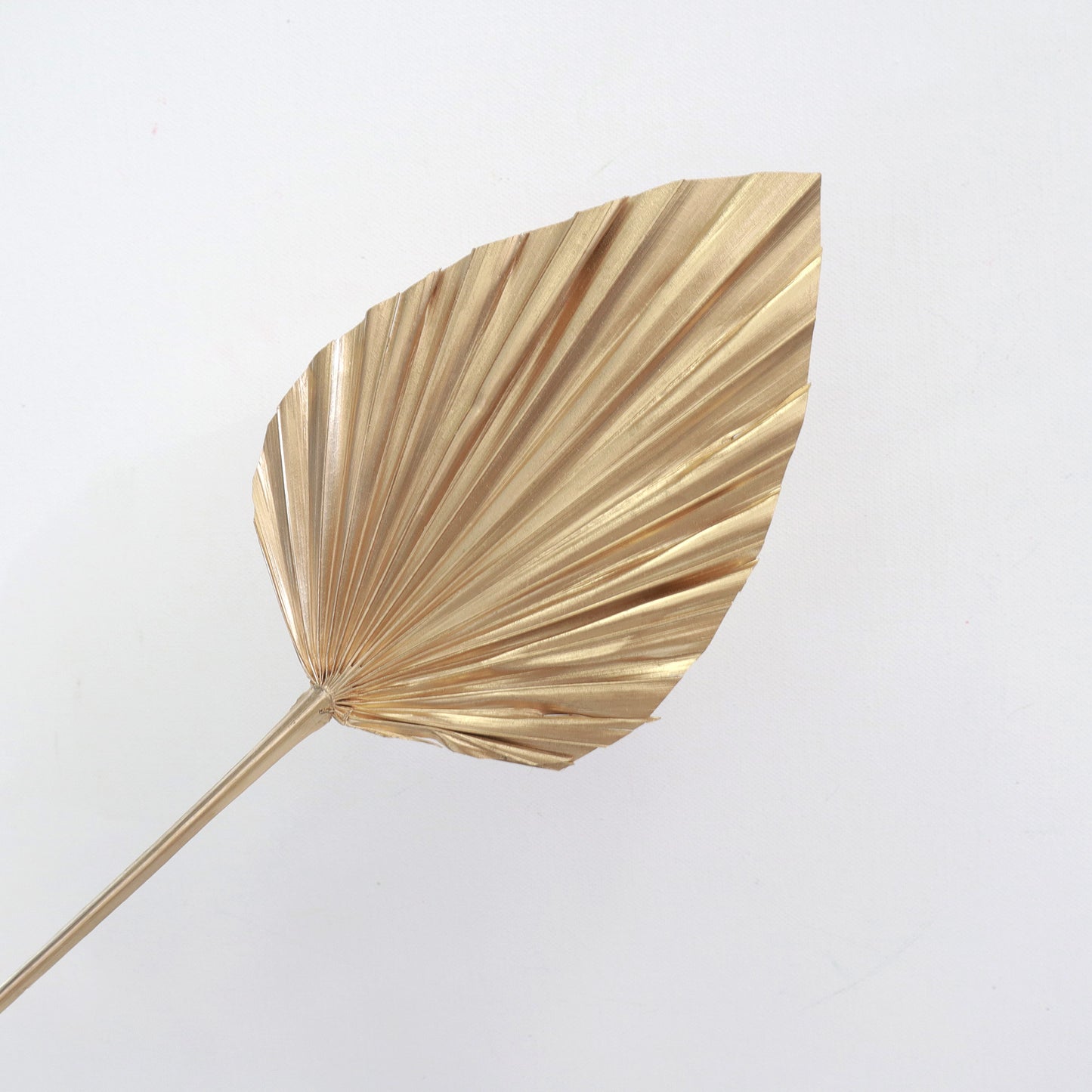 Palm Leaf Small Gold