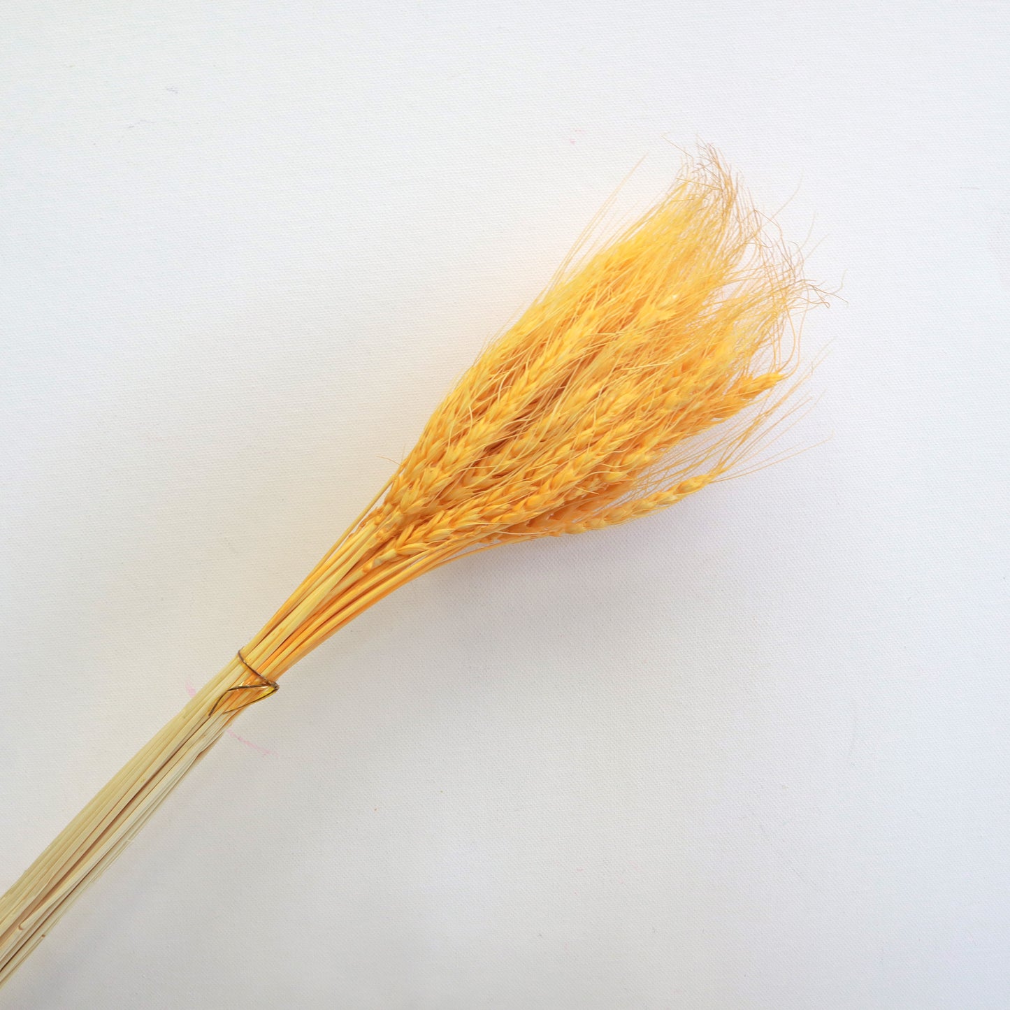Dried Wheat Orange