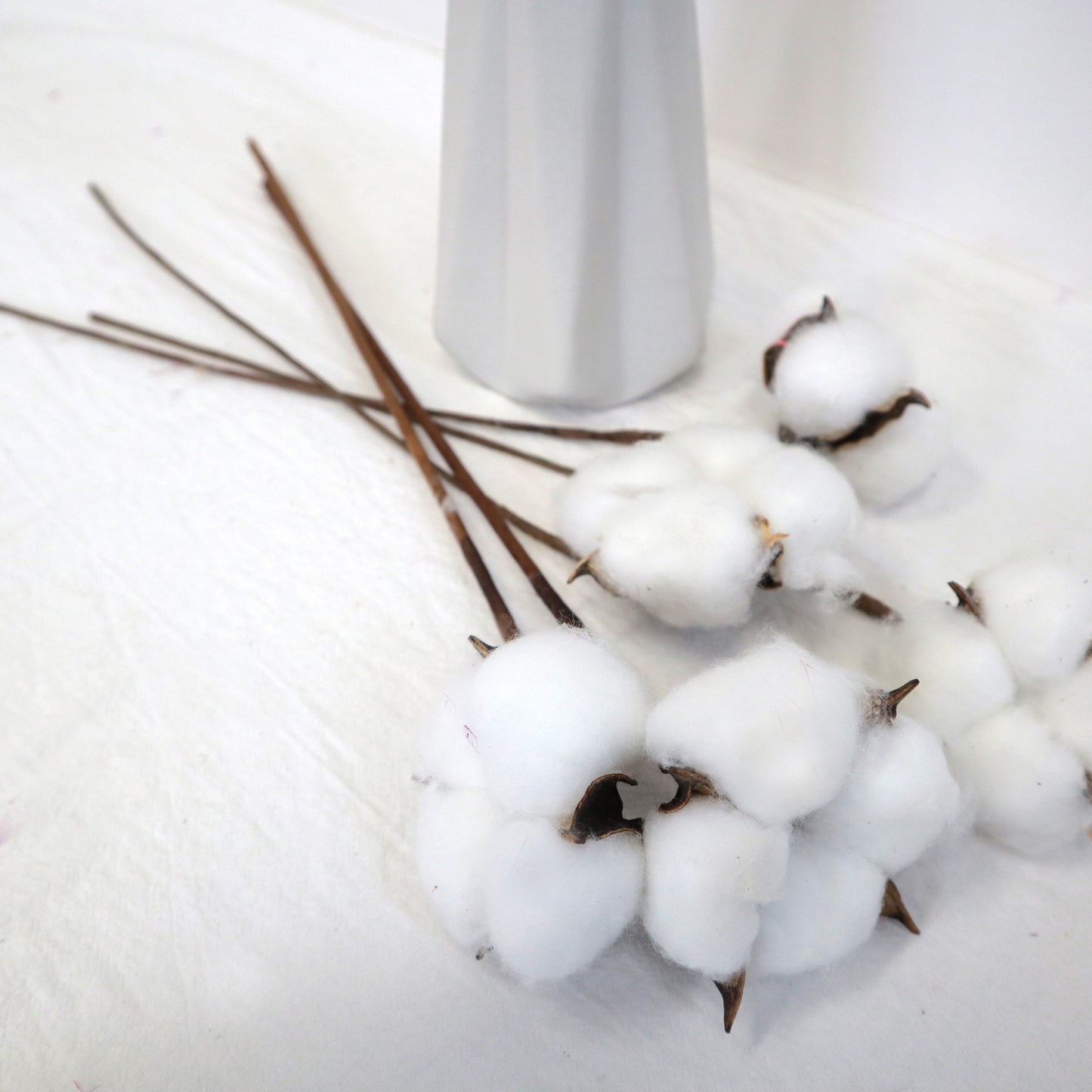 Cotton 10 Stems White