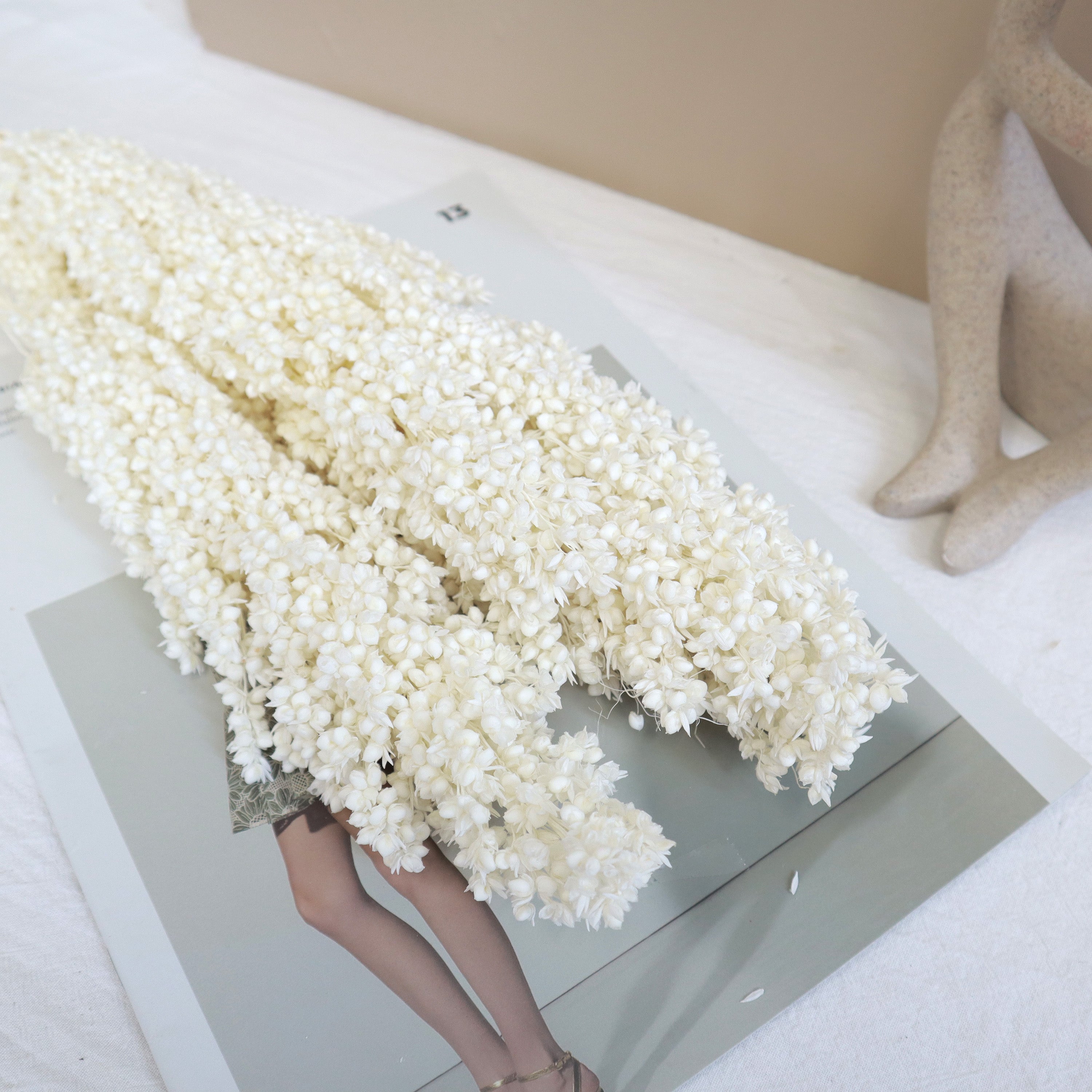Sorghum White