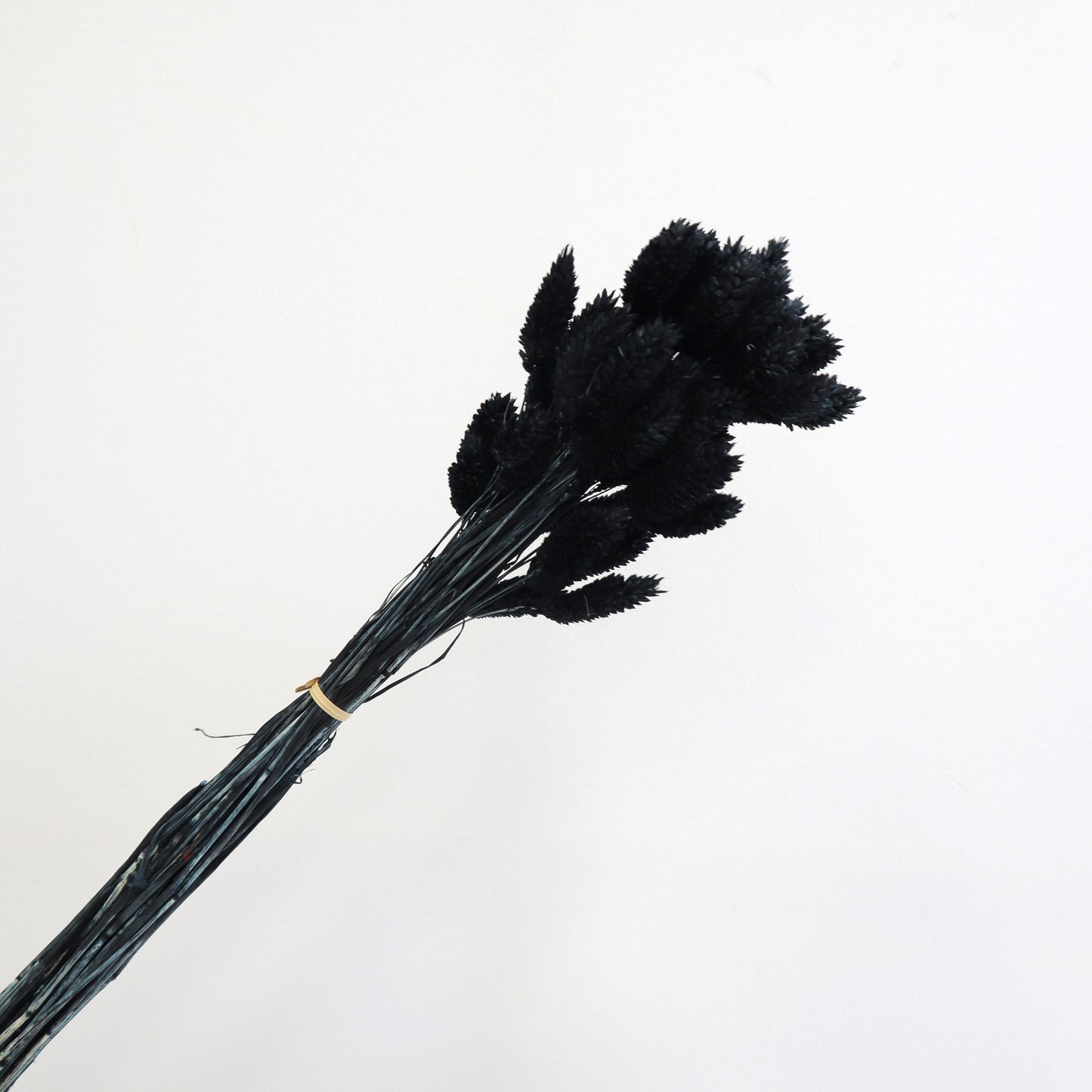 Gem Grass Black