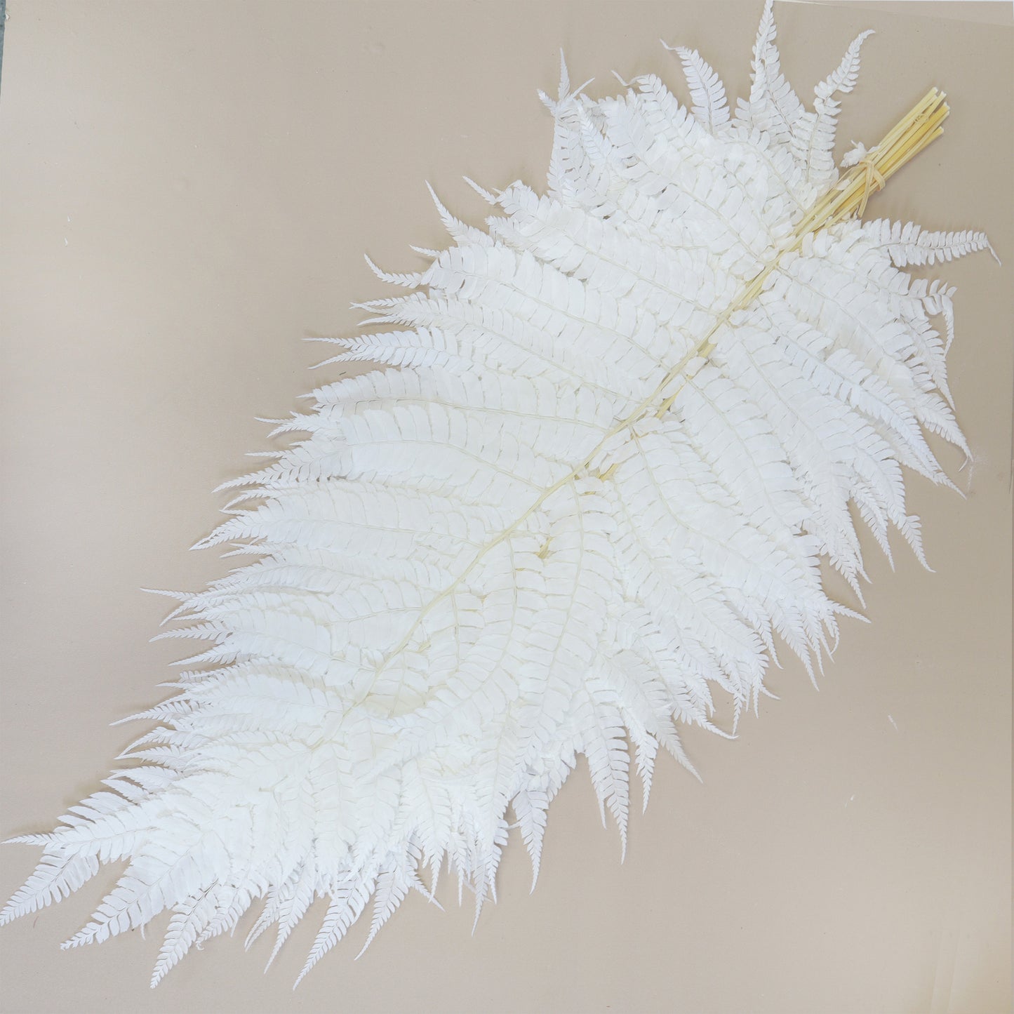 Leather Fern Large White
