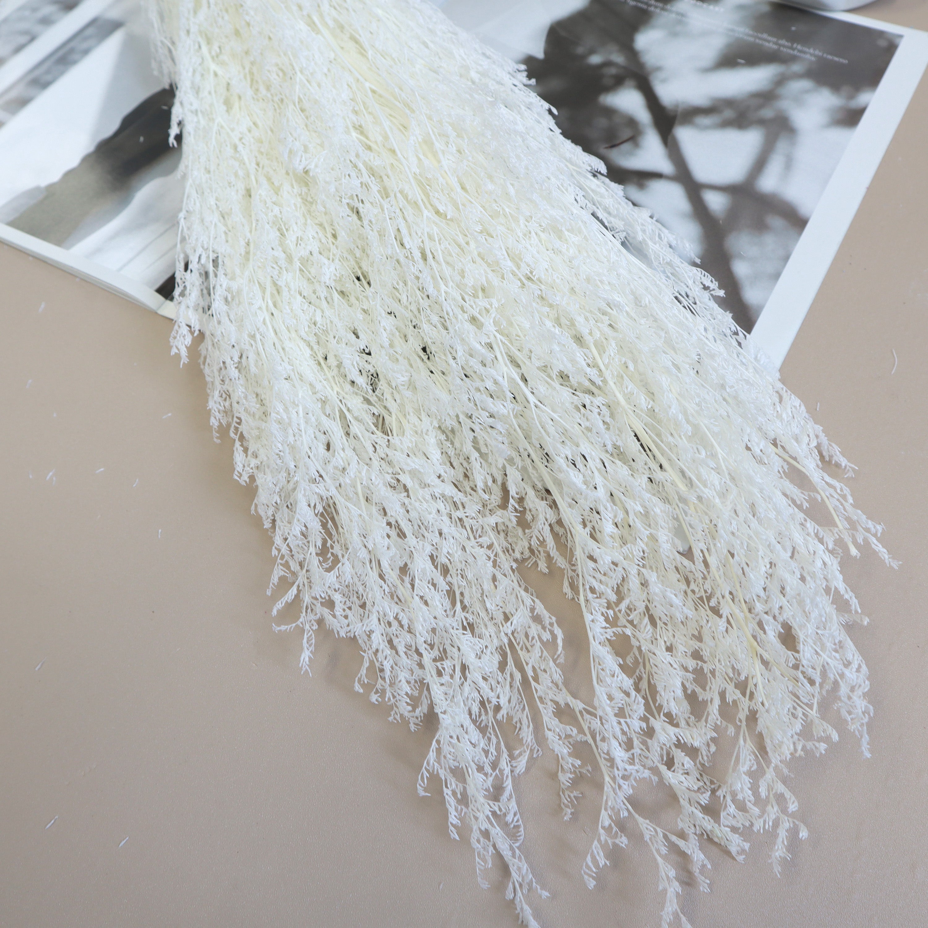 Misty Bleached White