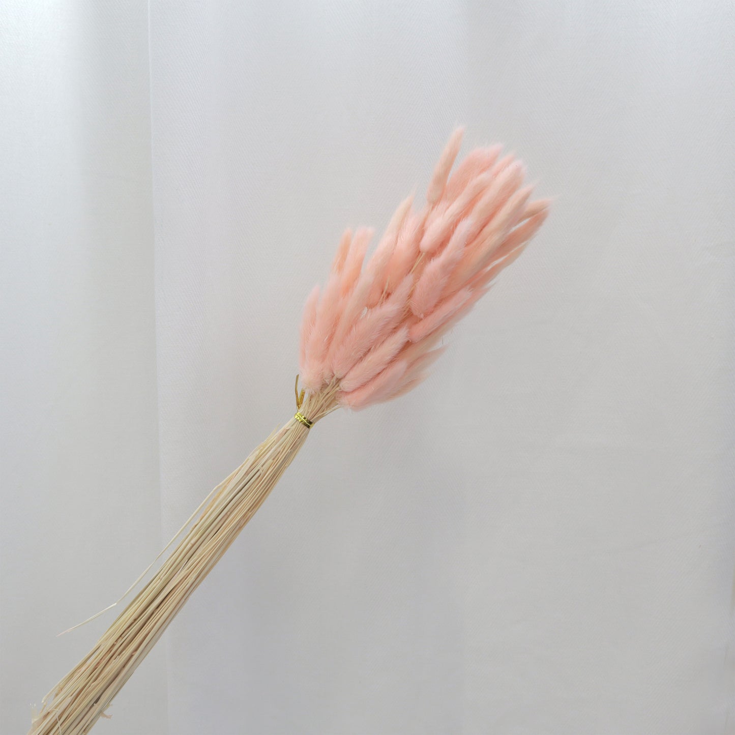 Bunny Tails Peach