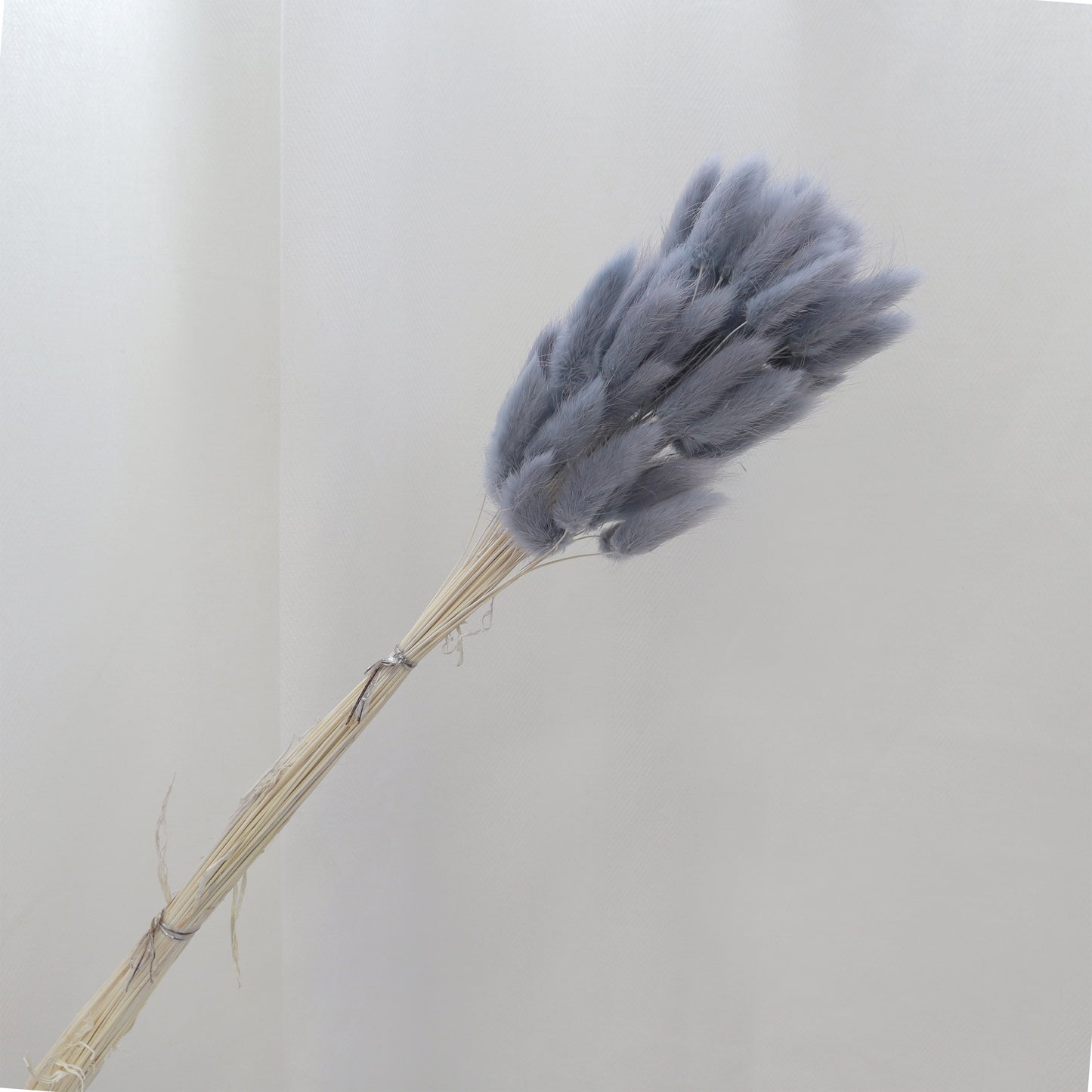 Bunny Tails Flint Grey