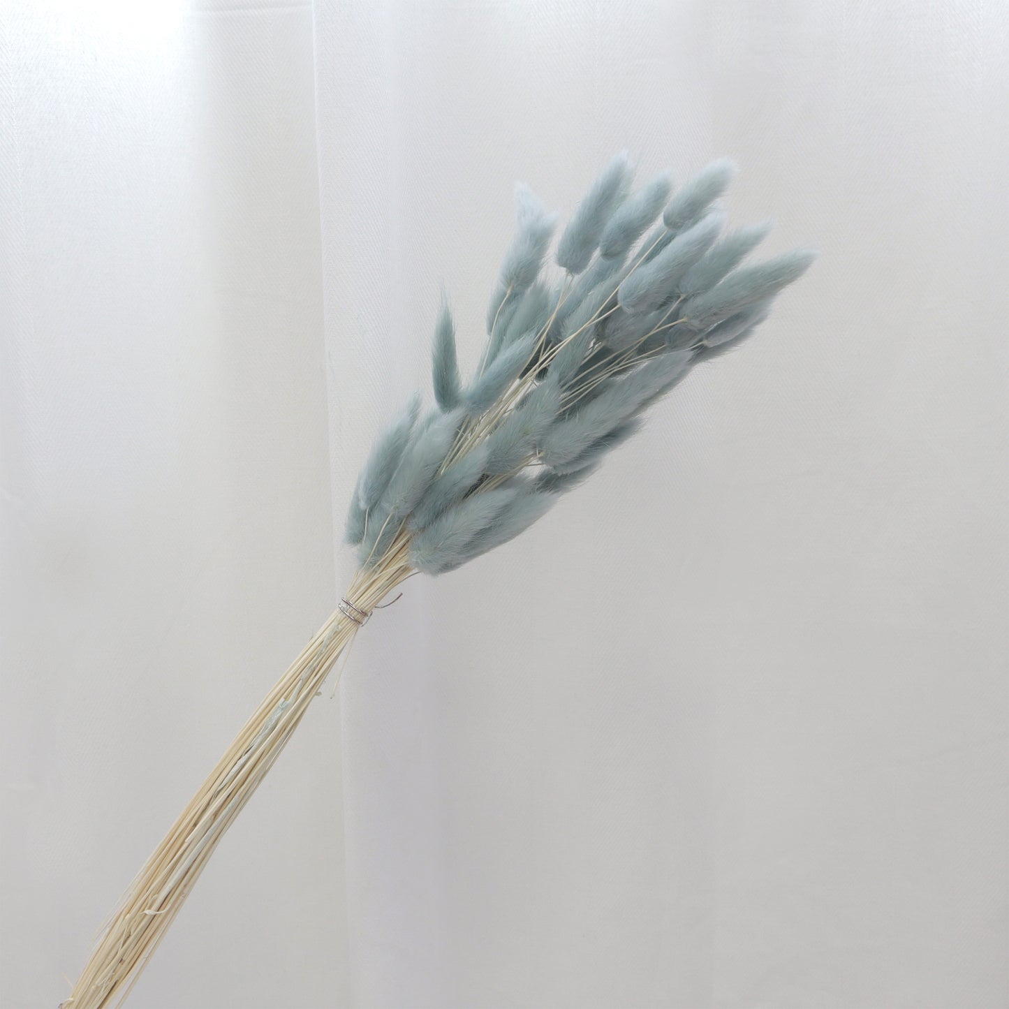 Bunny Tails Dusty Blue