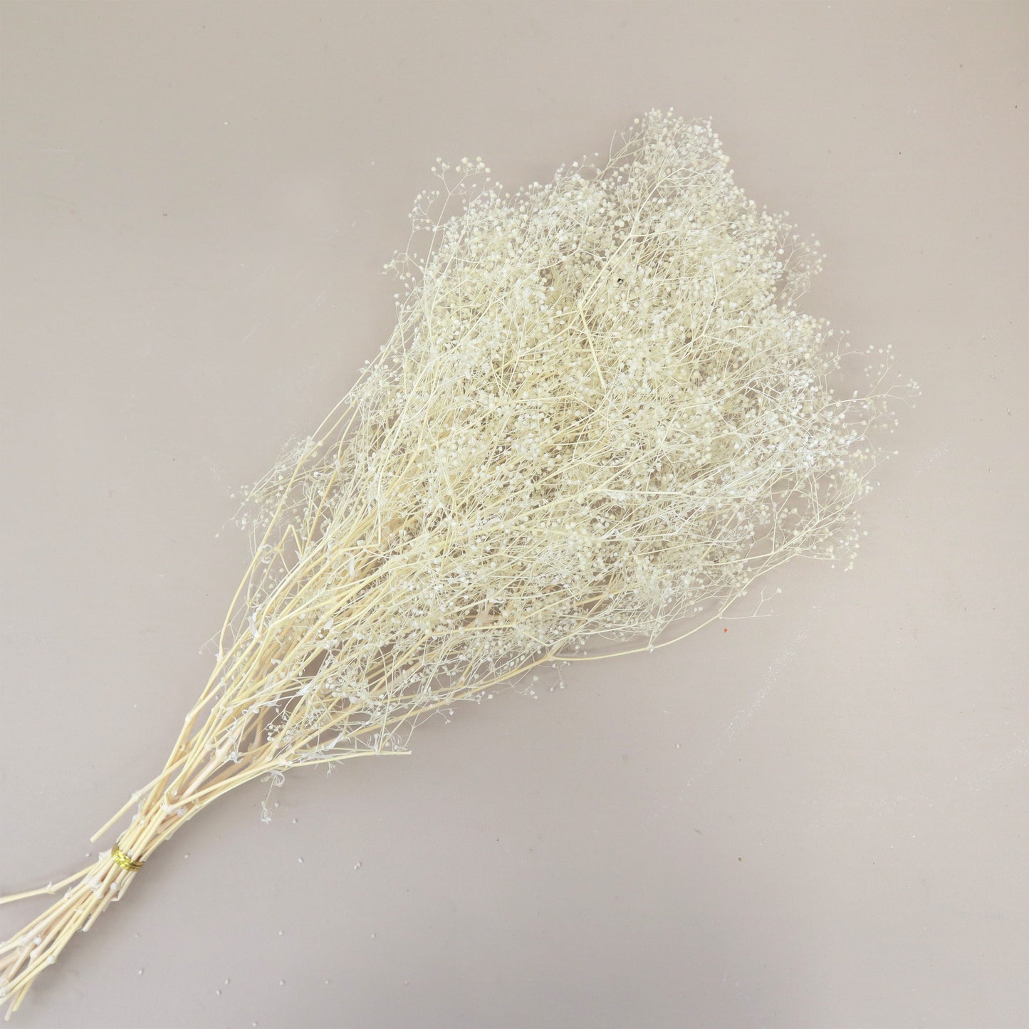 Snowy Baby's Breath Creamy White