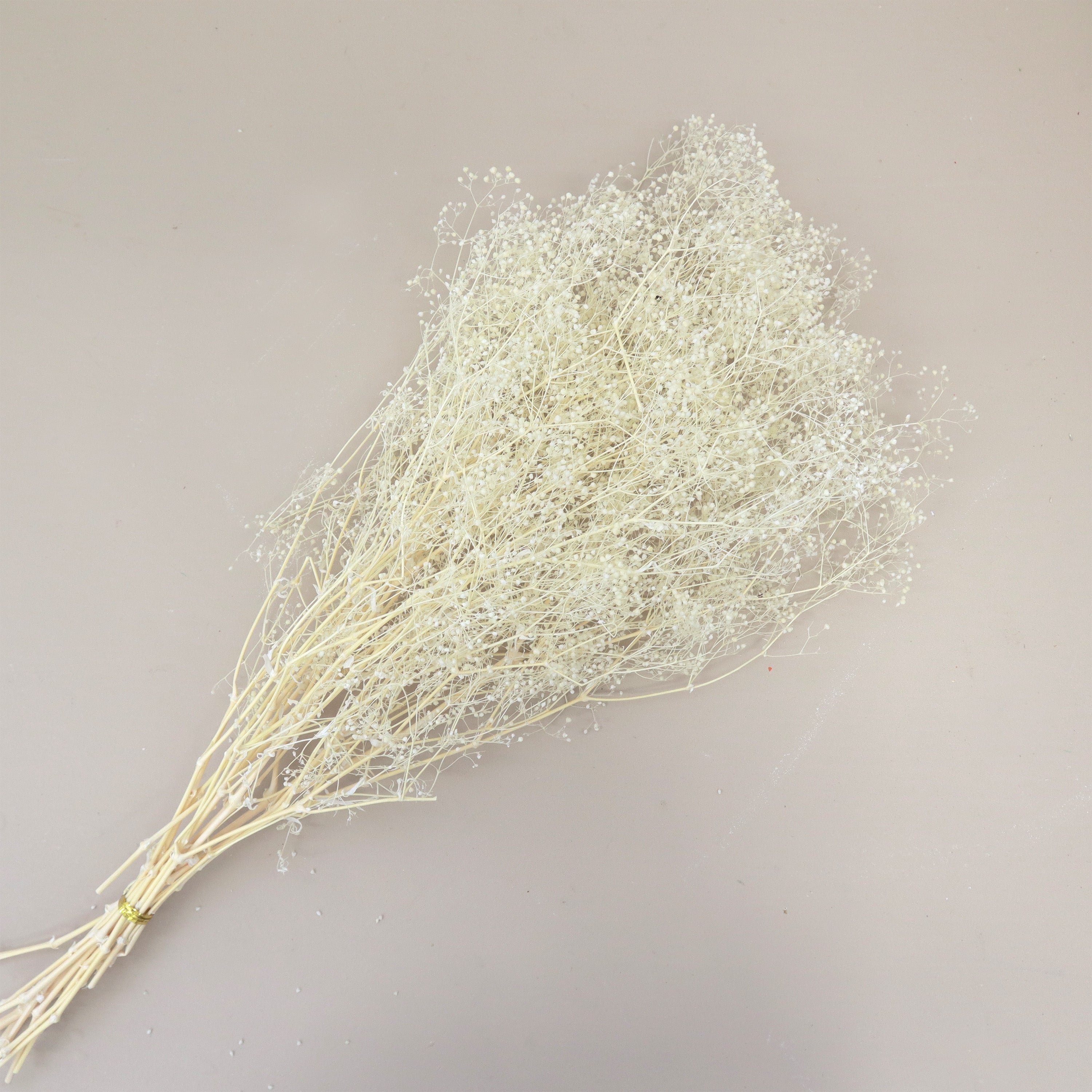 Snowy Baby's Breath Creamy White