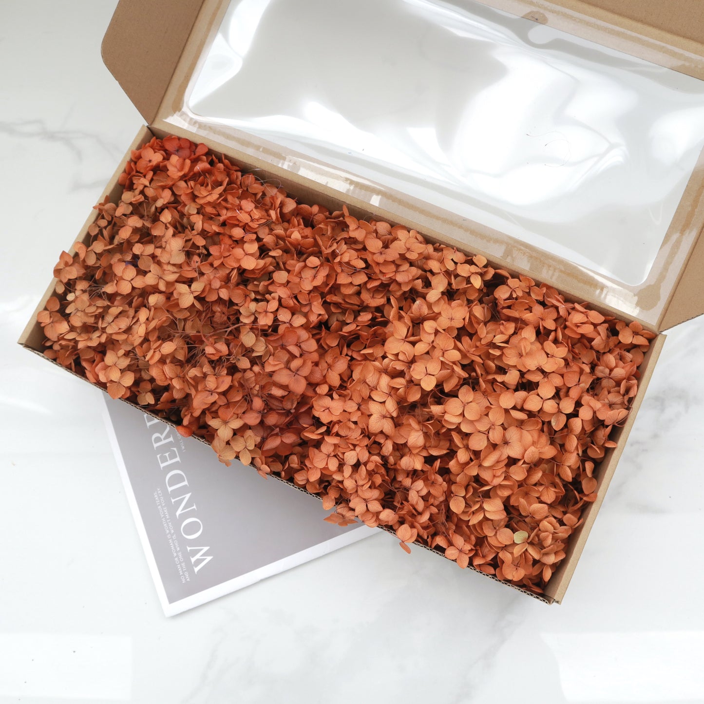 Annabelle Hydrangea 100g Box Orange