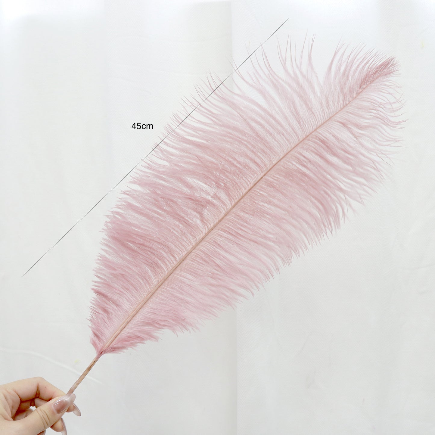 5 pcs Ostrich Feathers Crepe Pink