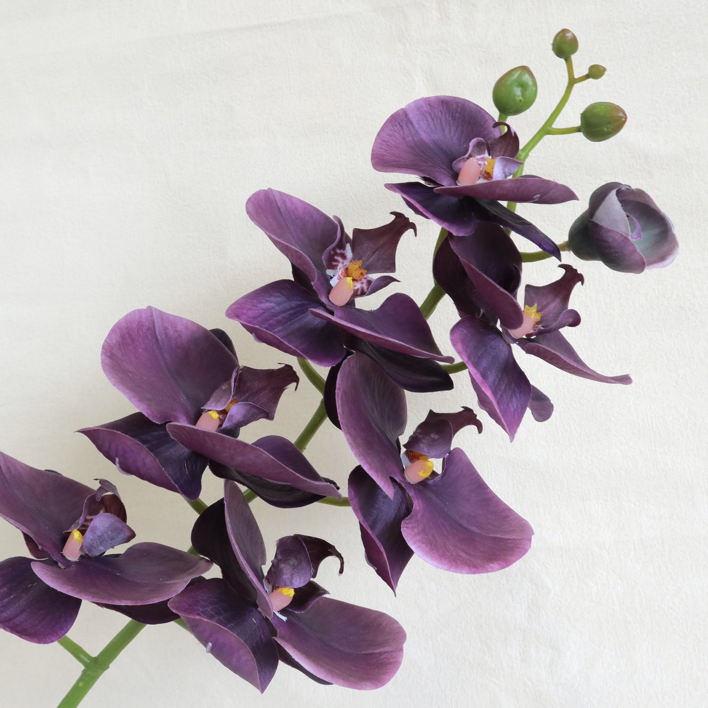 Artificial Real Touch Orchid (22)