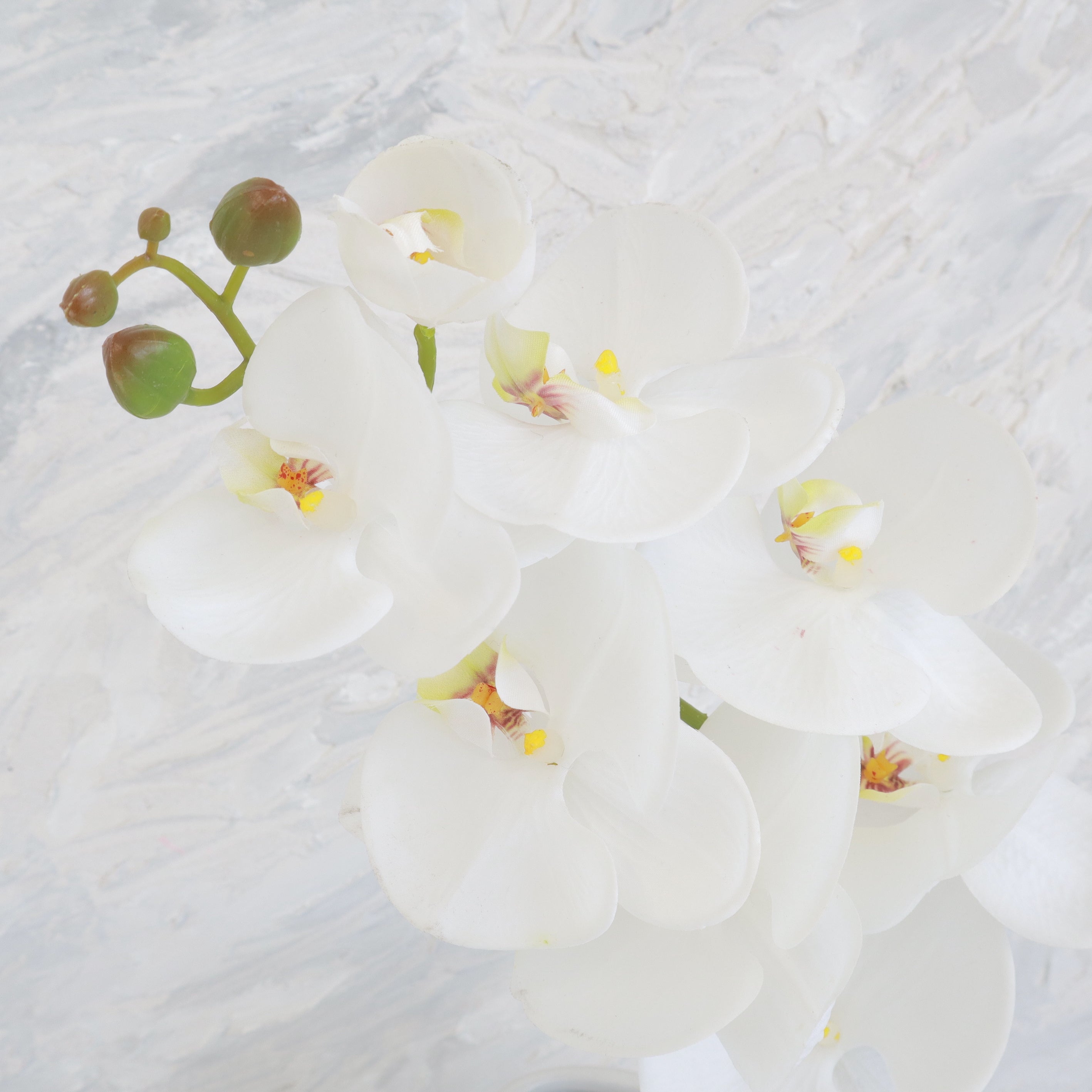 Artificial Real Touch Orchid (27)