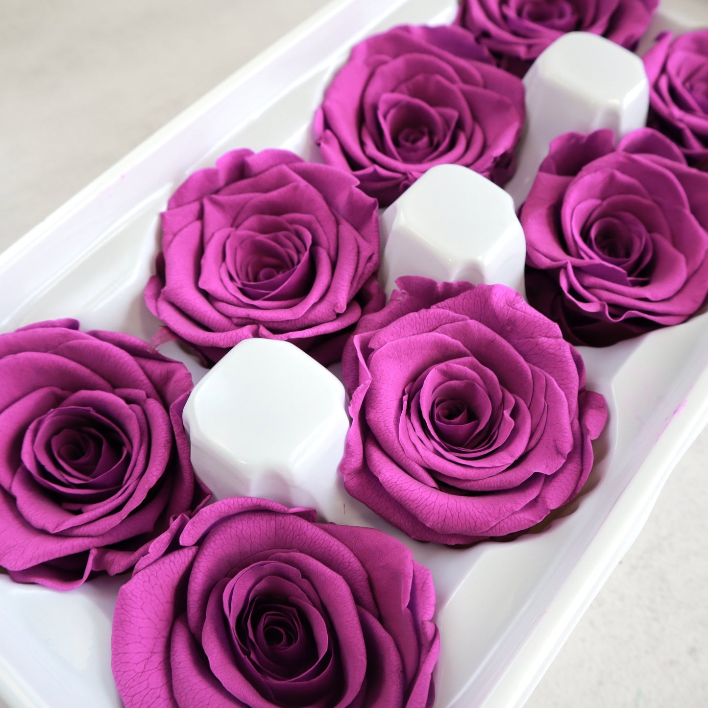 Rose Dark Violet 8 Heads
