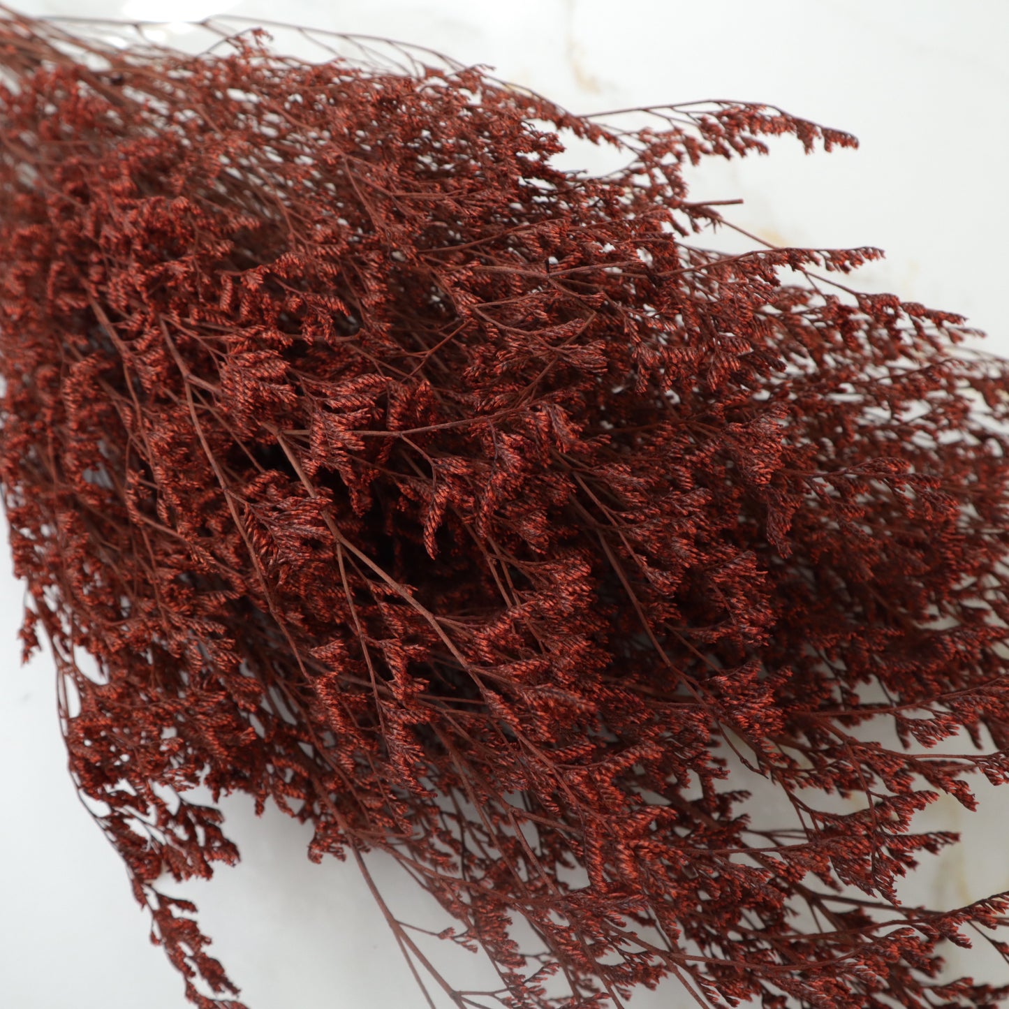 Misty Deep Red