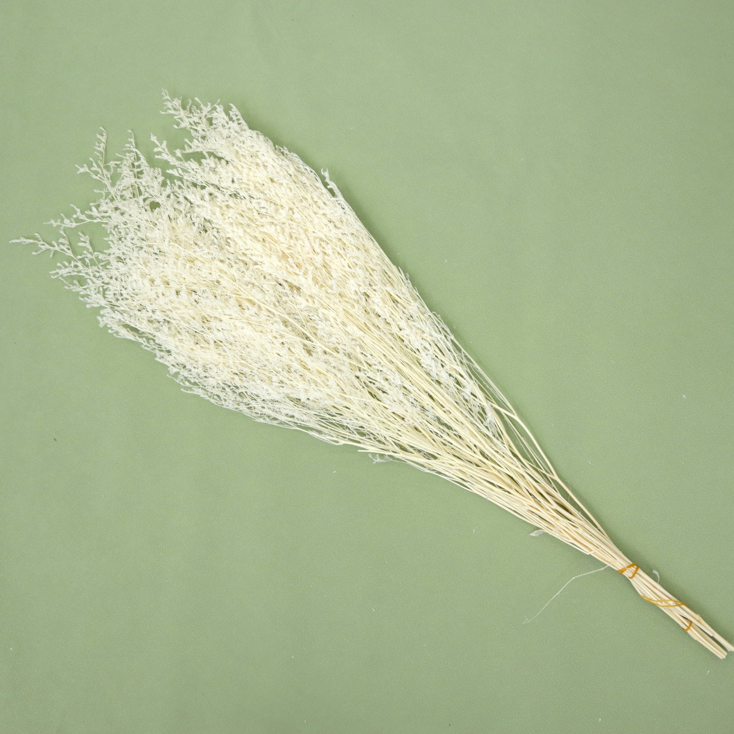10 Bunches of Misty Bleached Creamy White
