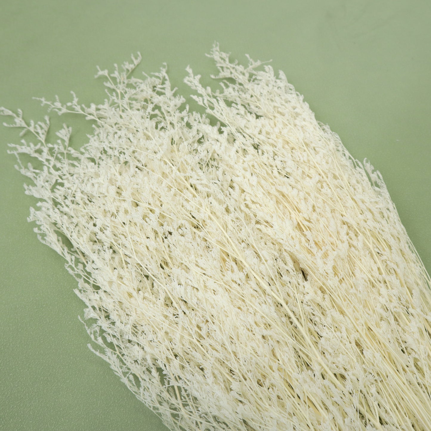 10 Bunches of Misty Bleached Creamy White