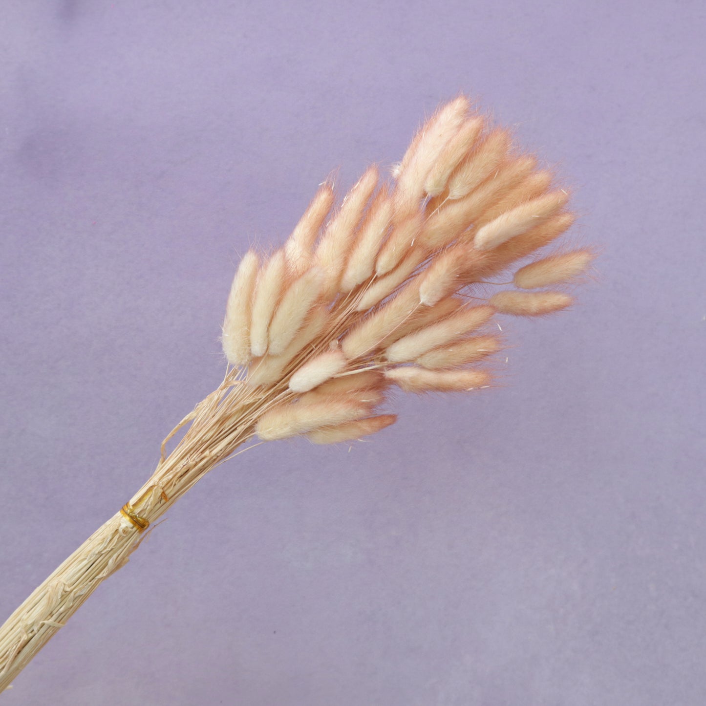 Bunny Tails Gradient Reddish Brown