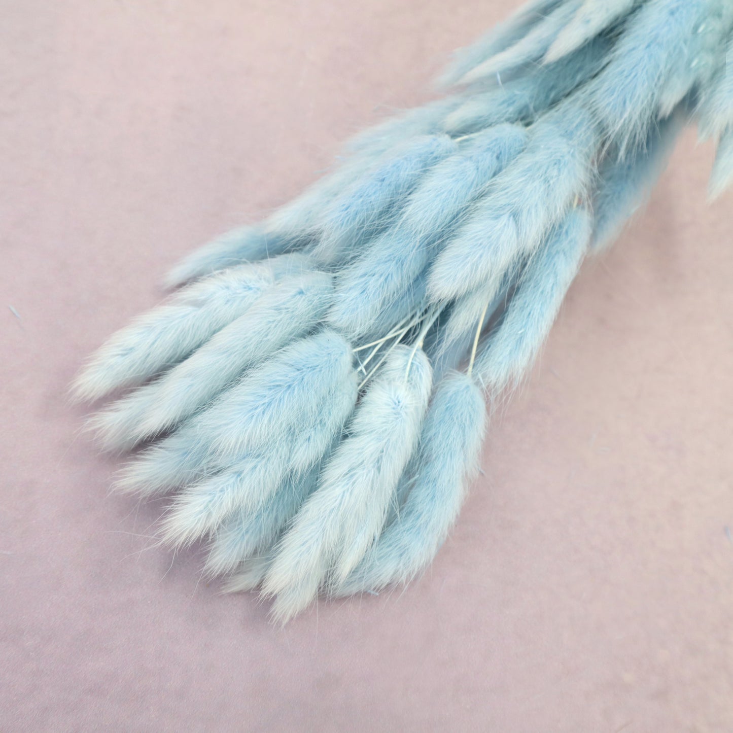 Bunny Tails Baby Blue