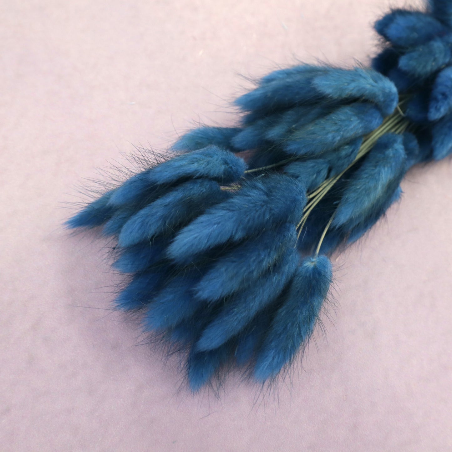 Bunny Tails Navy