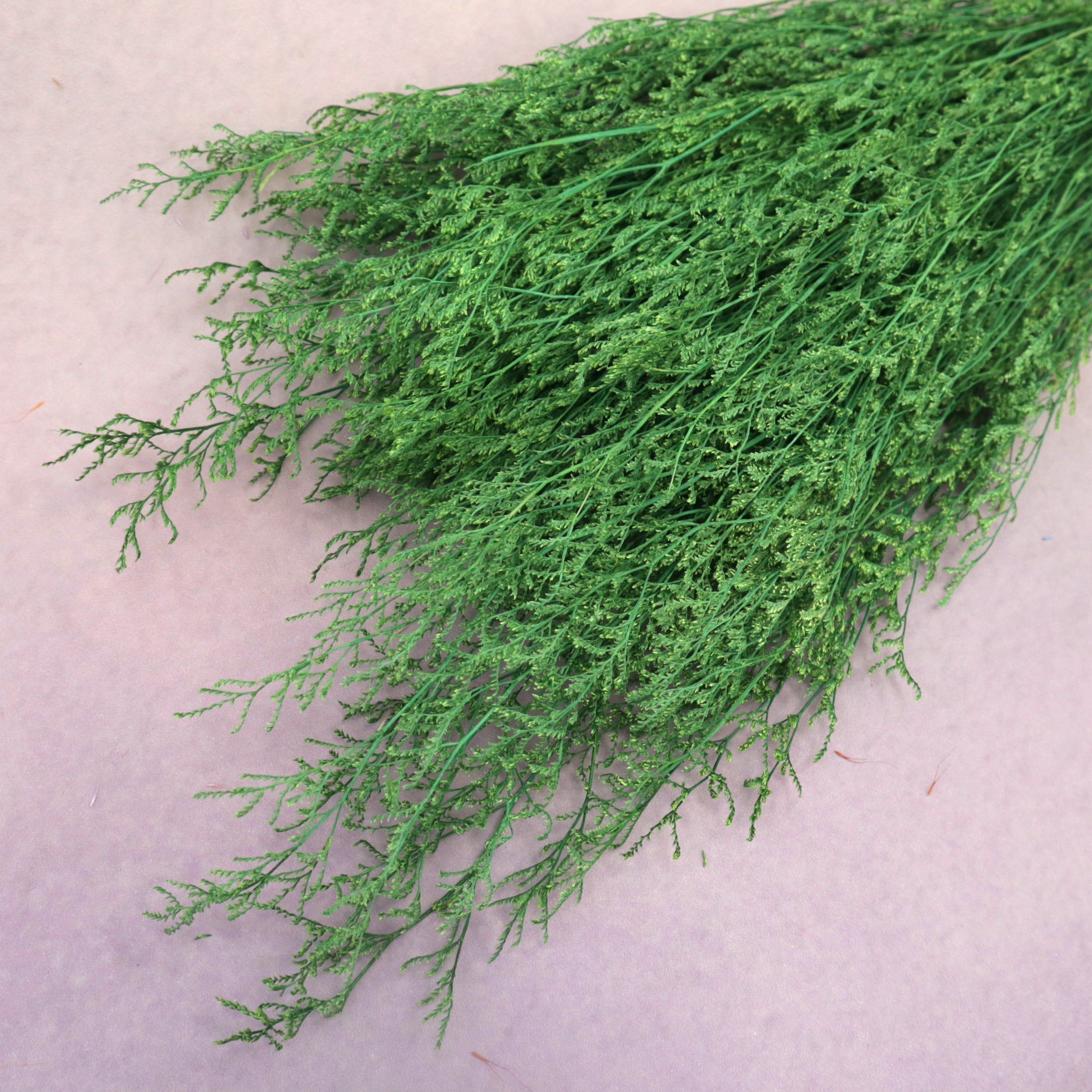 Misty Bleached Green