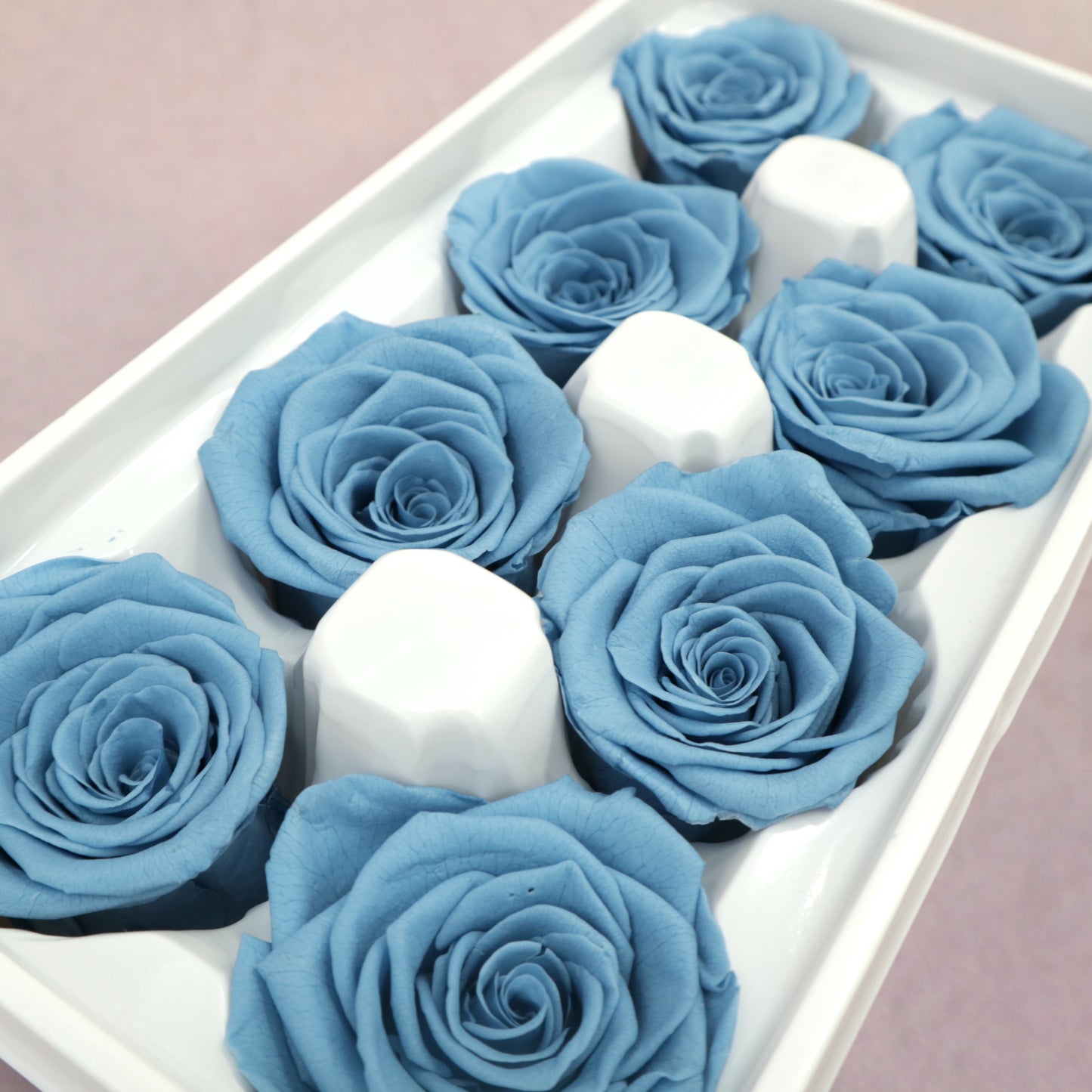Rose Steel Blue 8 Heads