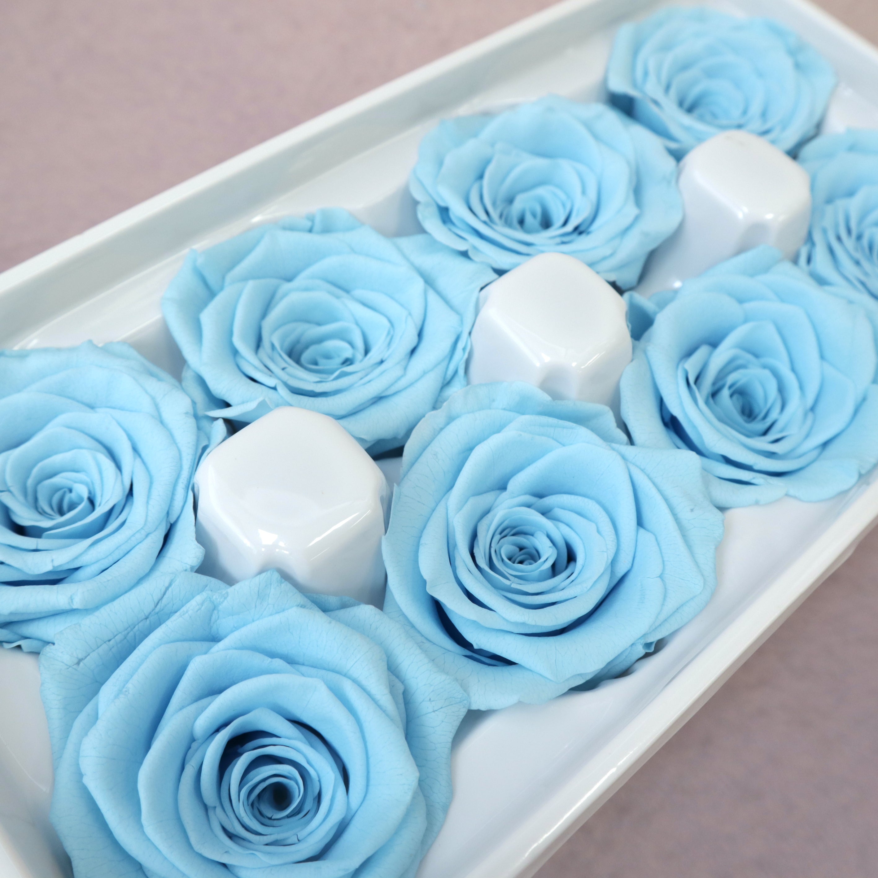 Rose Baby Blue 8 heads