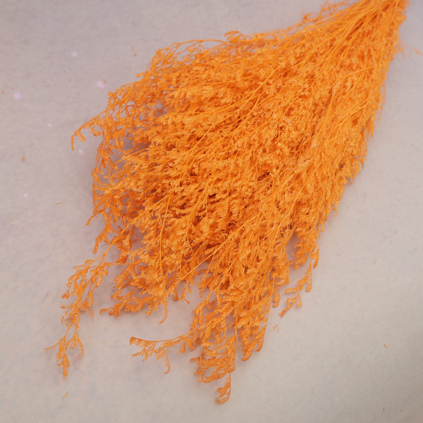 Misty Bleached Orange