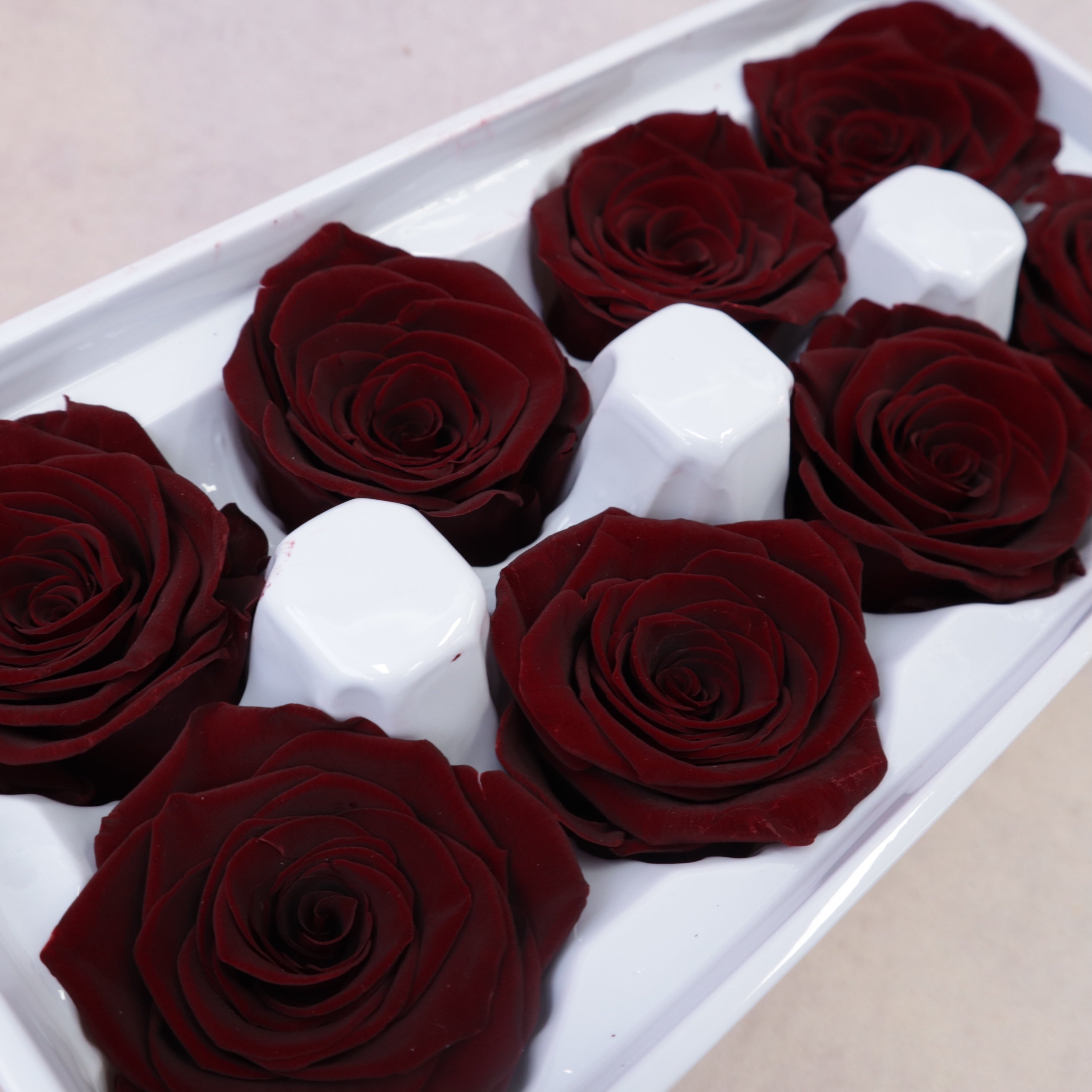 Rose Wine Red 8 heads