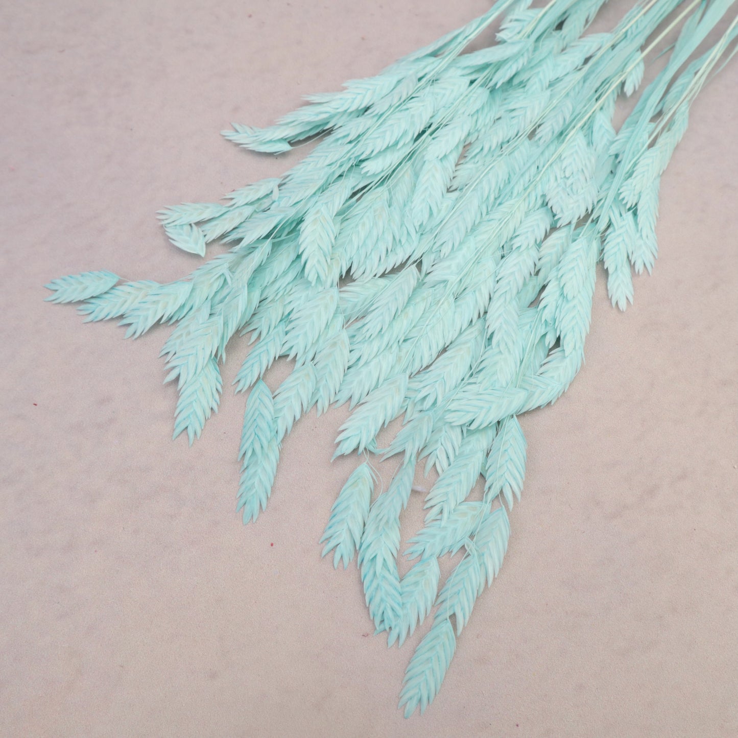 Sea Oats Turquoise
