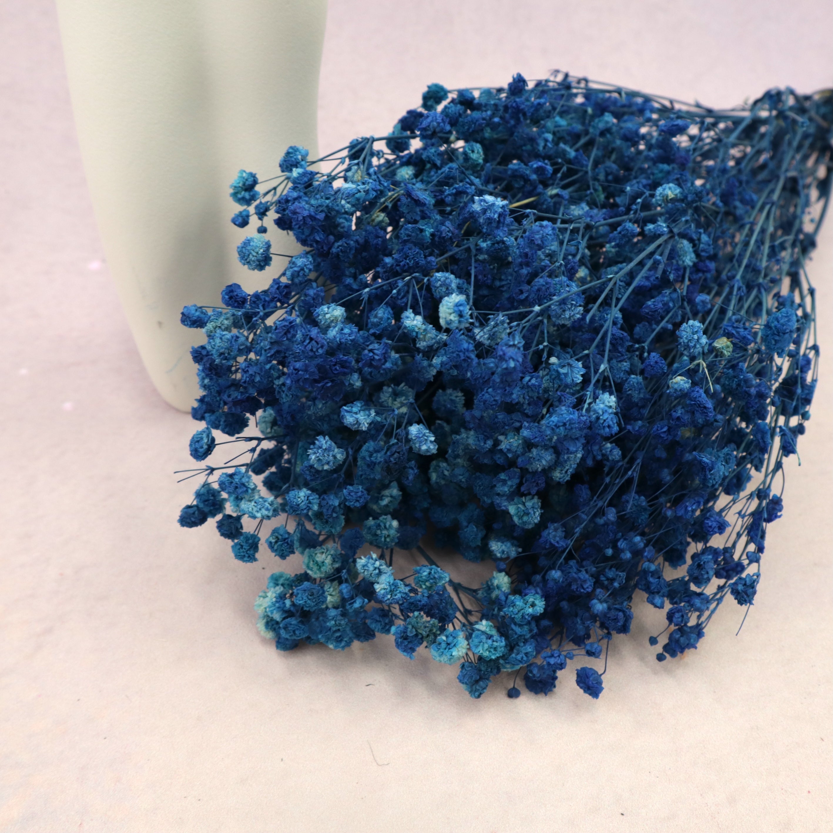 Baby's Breath Navy Blue