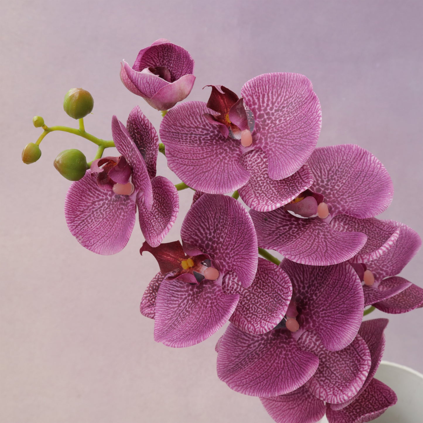 Artificial Real Touch Orchid (40)