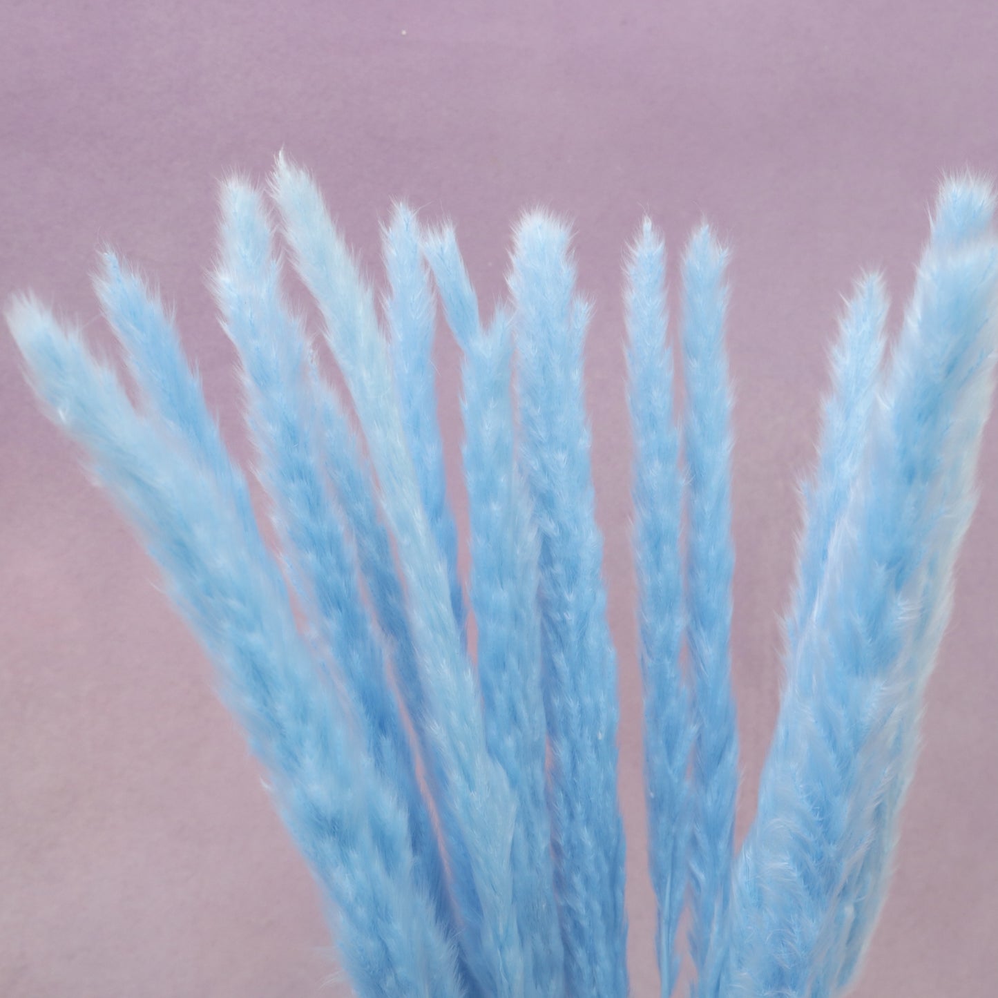 Fluffy Stick Blue