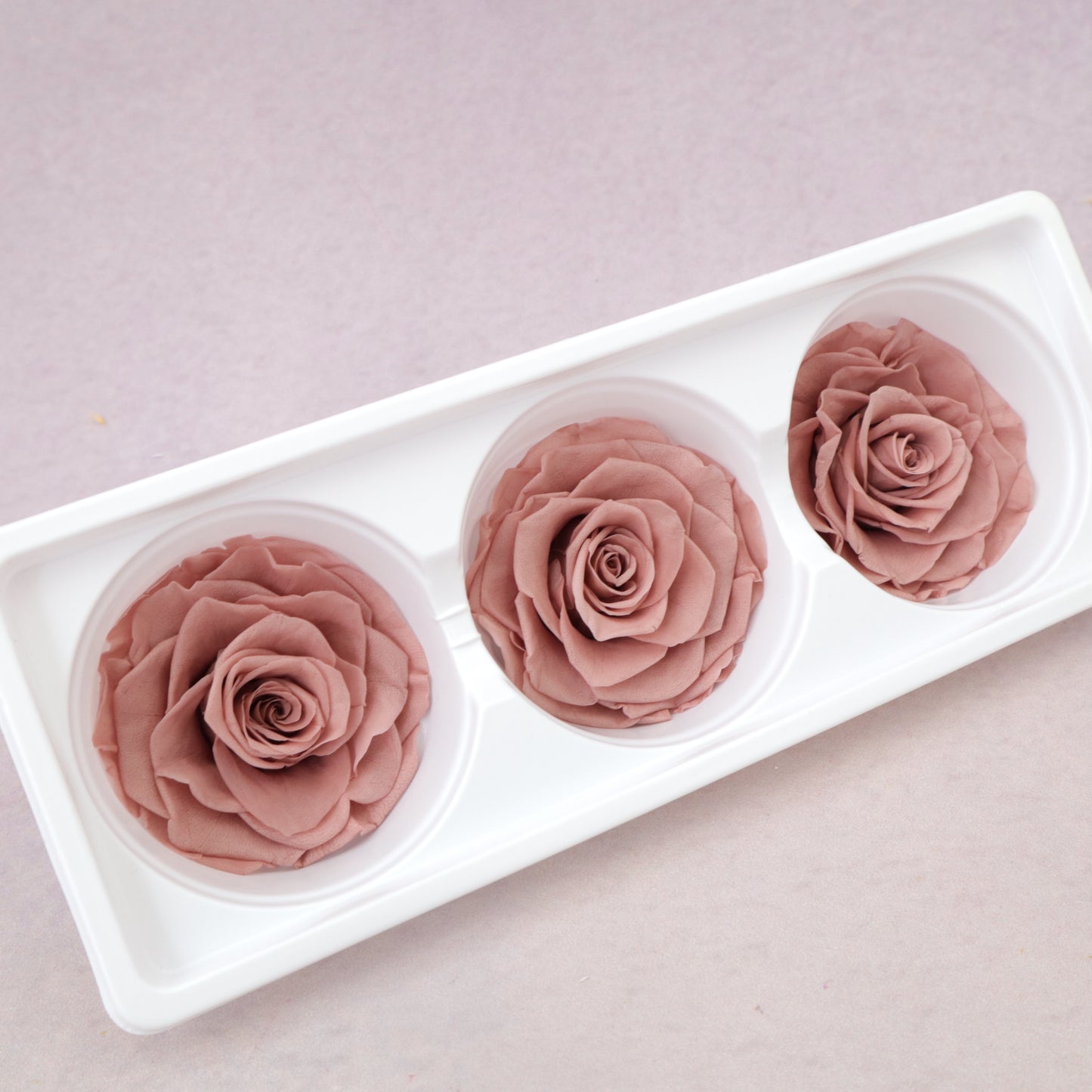 Rose Dusty Pink 3 heads