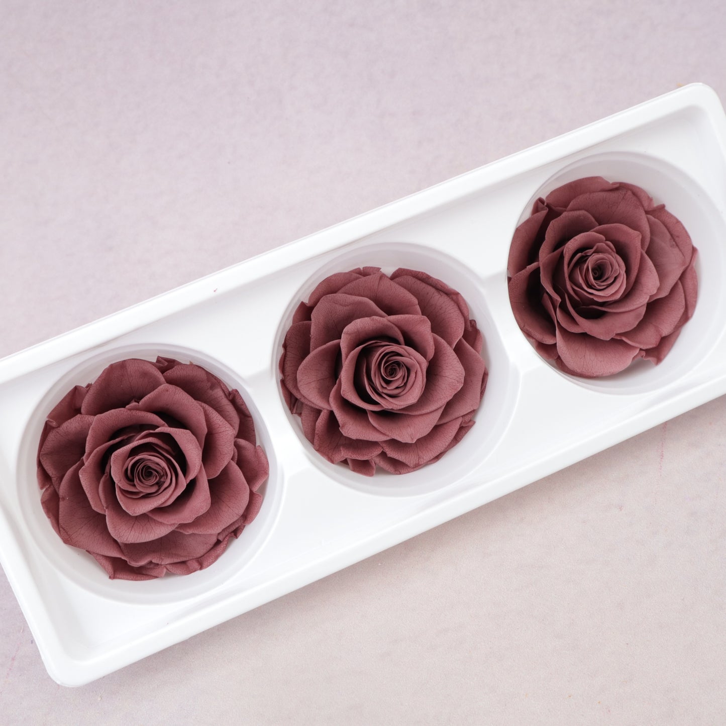 Rose Rosewood 3 heads