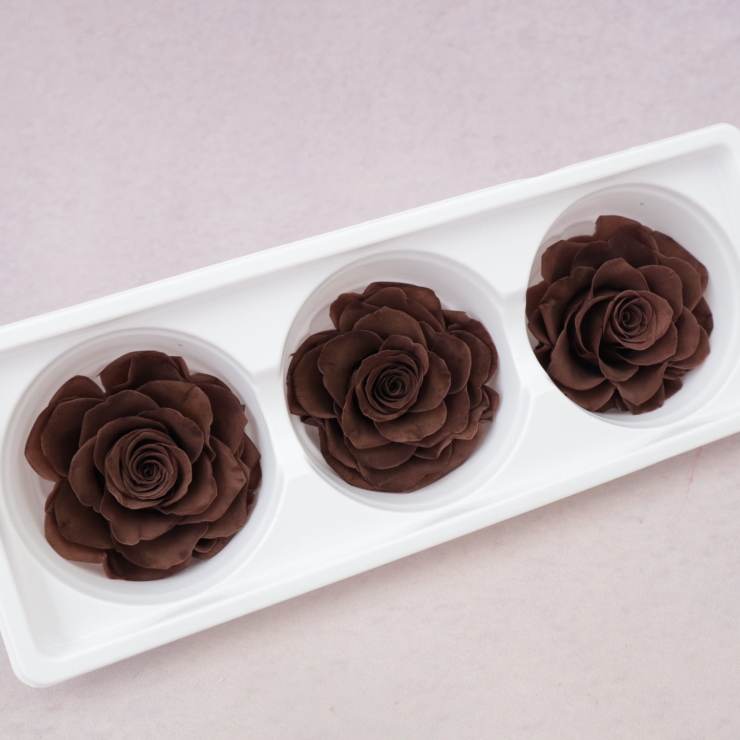 Rose Brown 3 heads