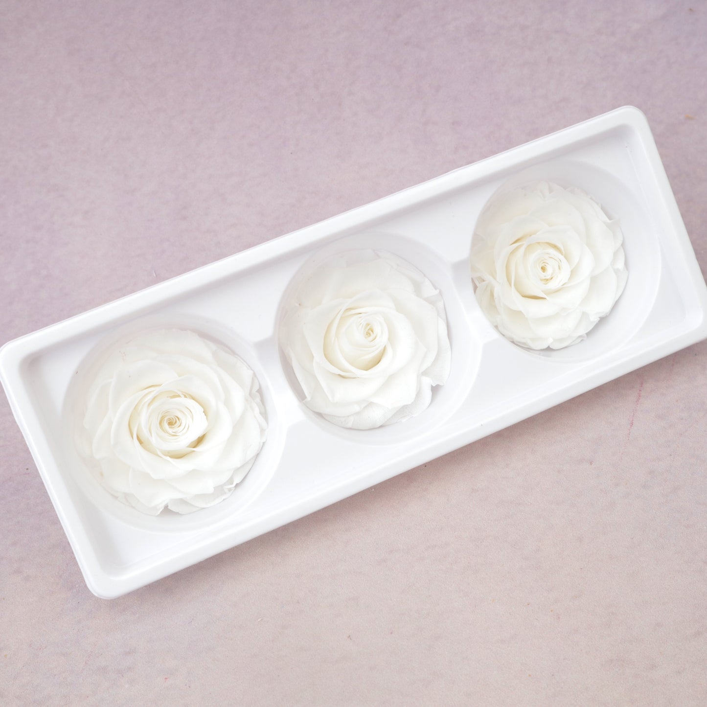 Rose White 3 heads